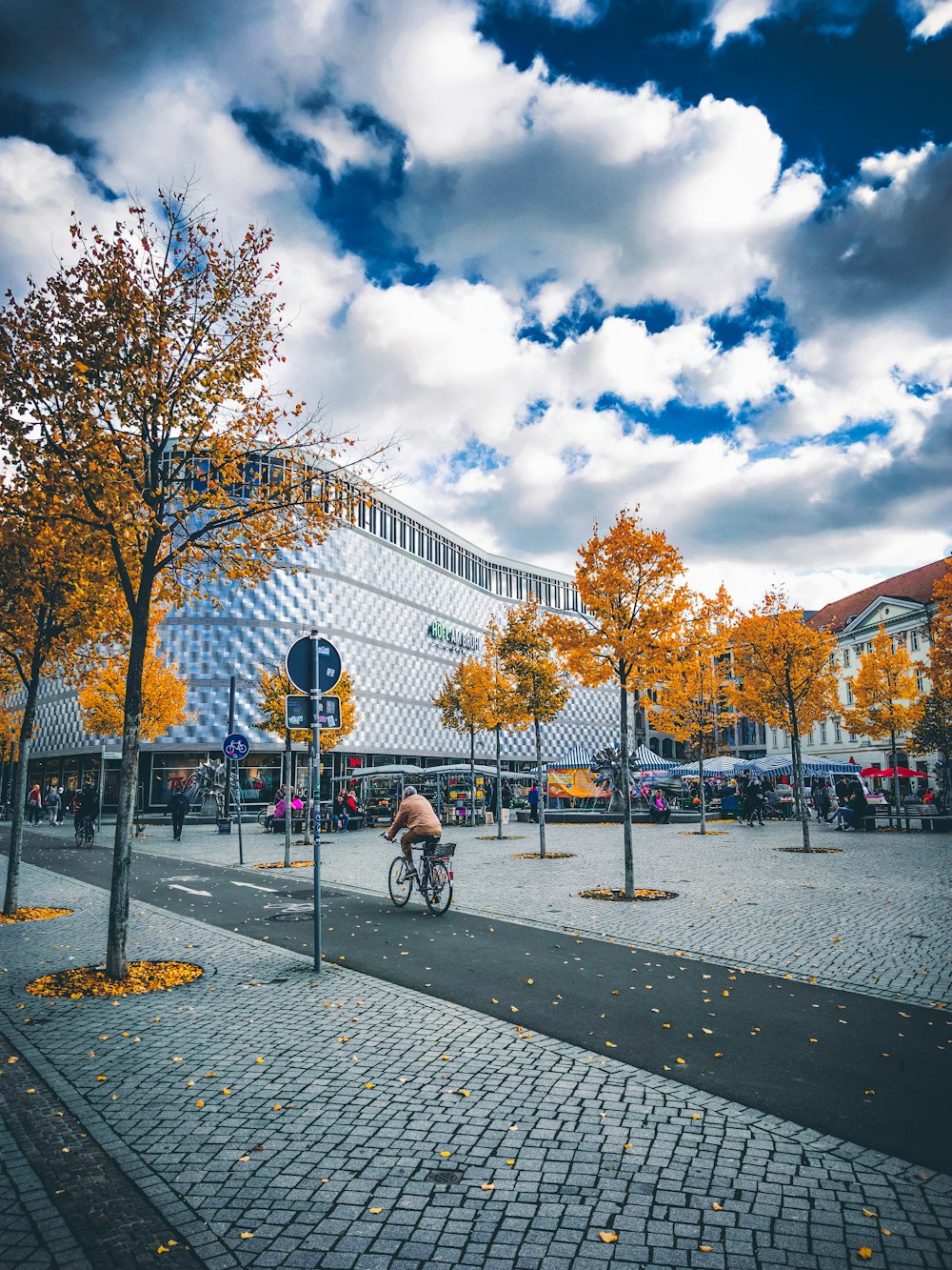 people walking on park with trees and lamp posts under white clouds and blue sky during