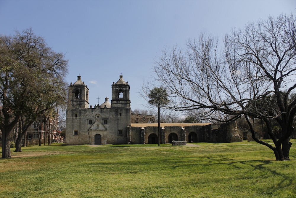 brown concrete building near bare trees during daytime