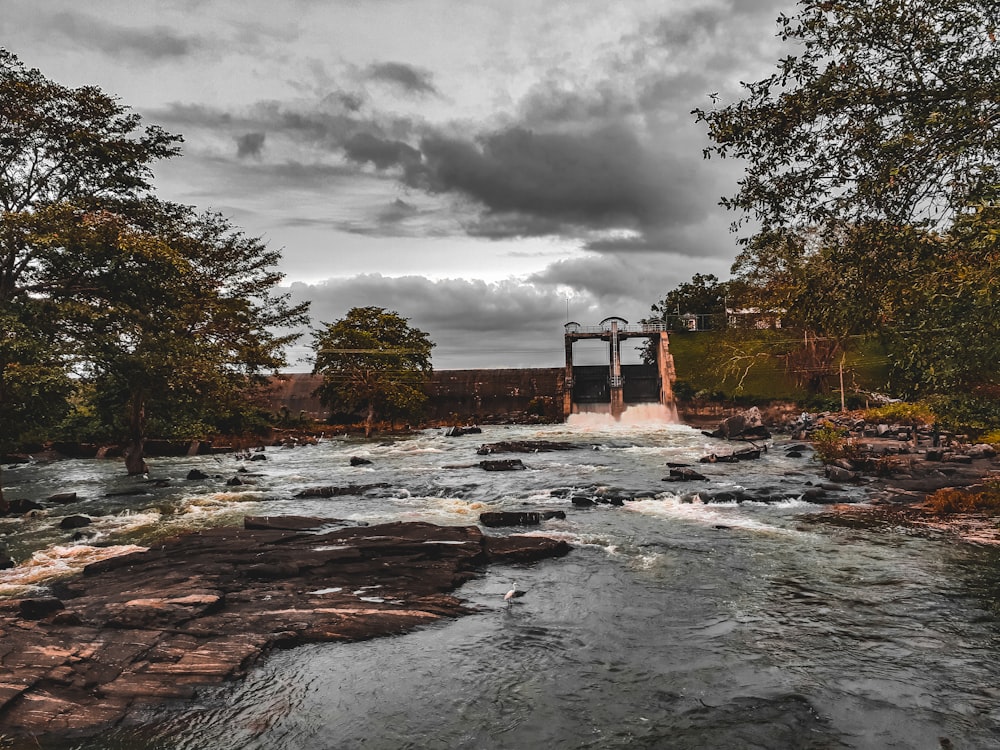 river between trees under cloudy sky during daytime