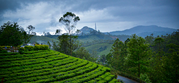 Eco Friendly Resorts