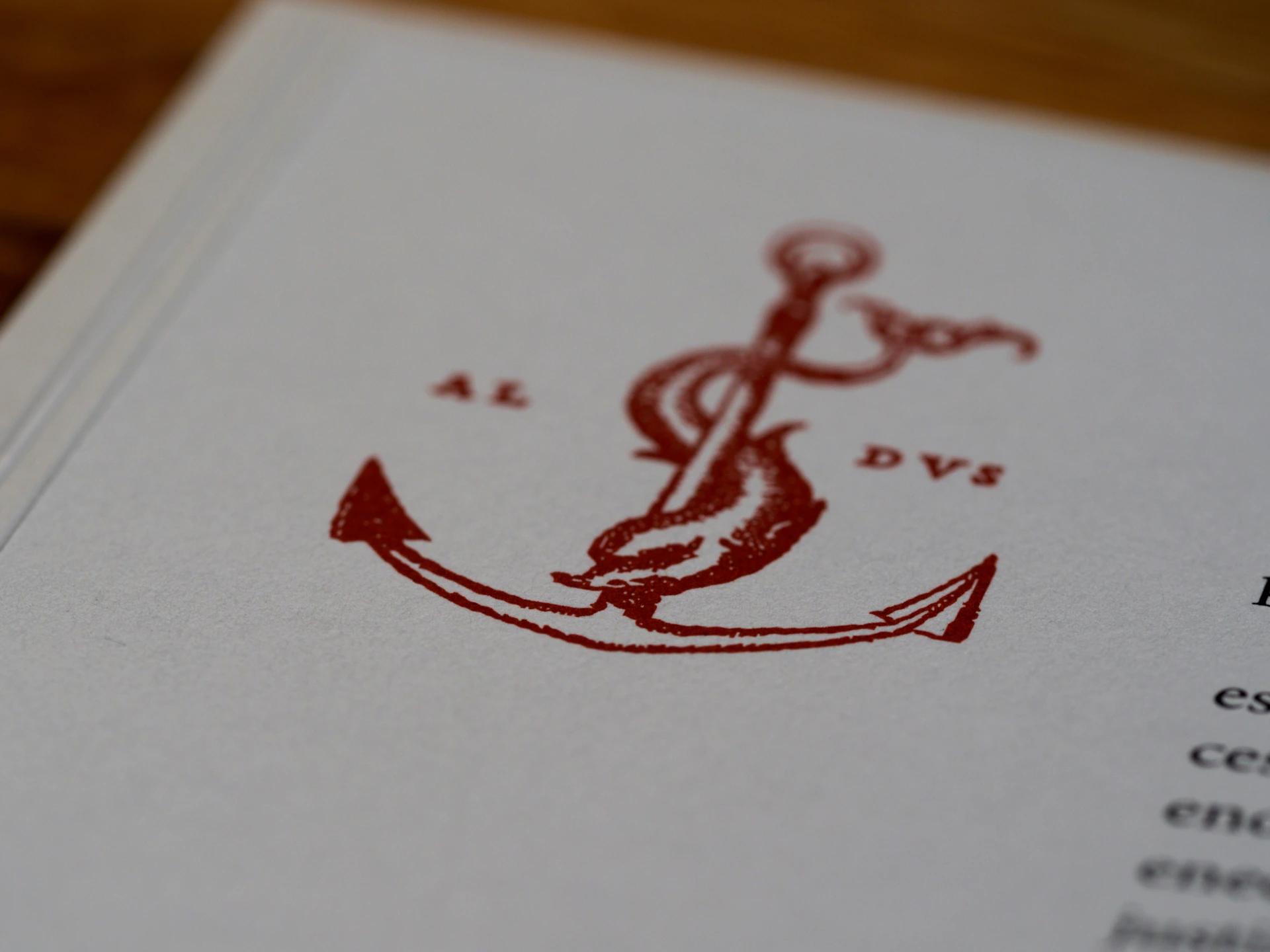 gray computer monitor