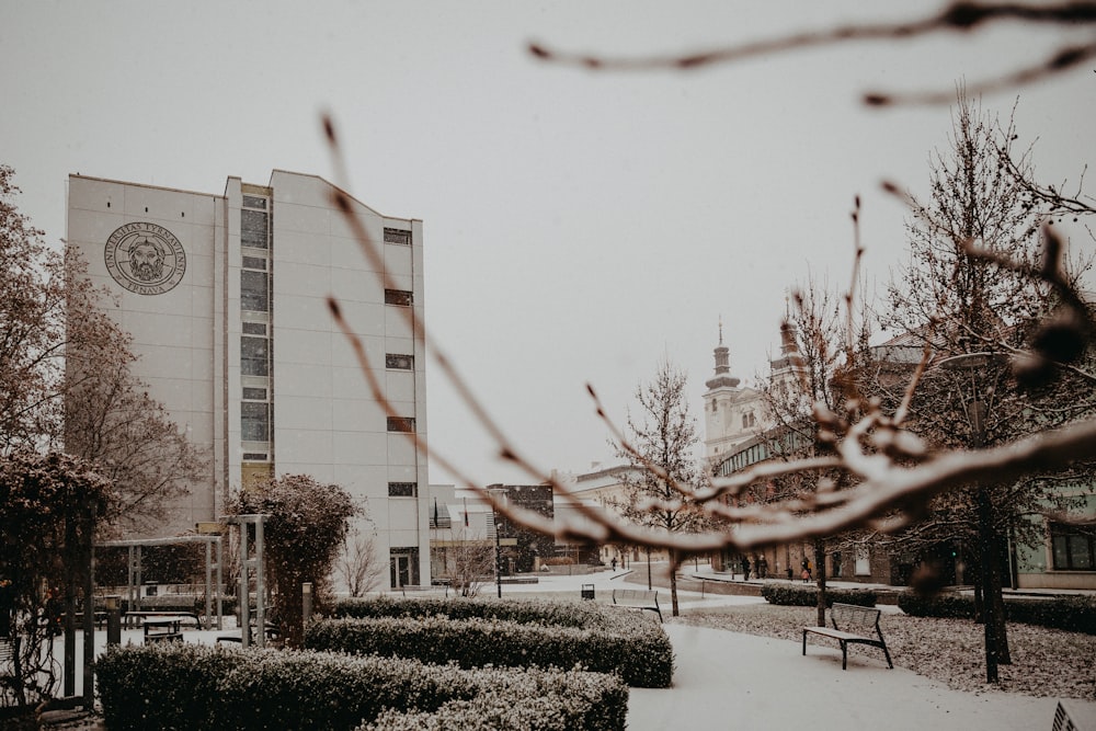 white concrete building near trees during daytime