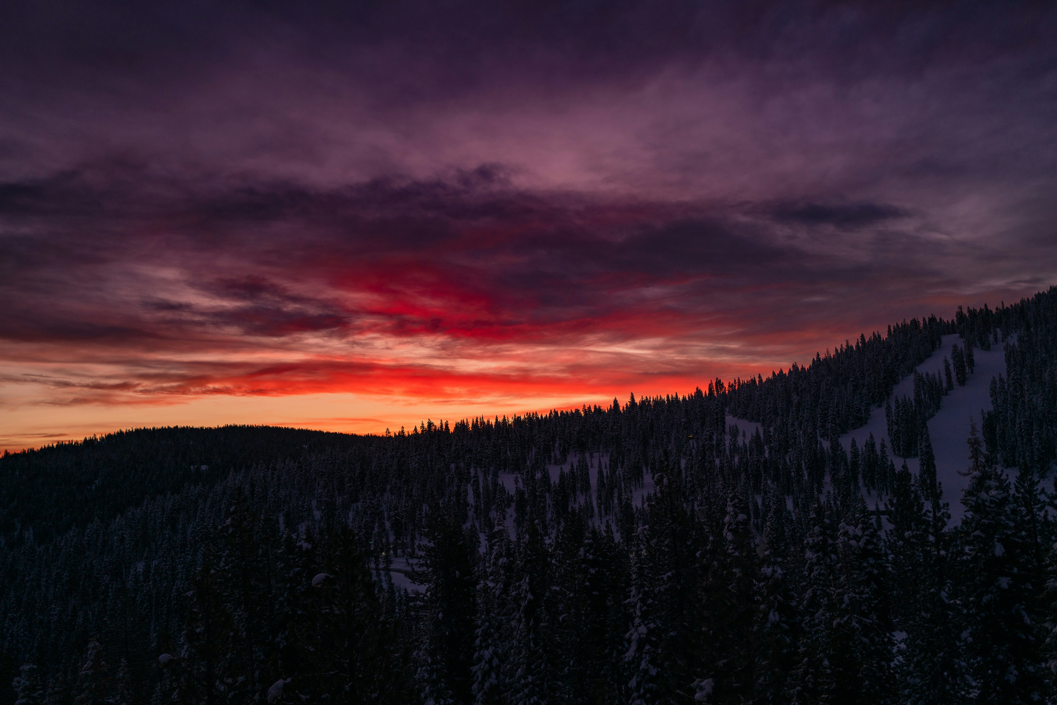 green trees under orange and gray cloudy sky