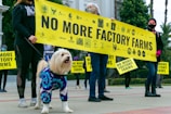 A group of people holding a large yellow banner with the words 'No More Factory Farms' are gathered in a public space. A dog in a blue and purple tie-dye sweater is standing in the foreground, adding a playful element to the scene. Other individuals in the background hold smaller, similar signs. The people appear to be dressed warmly, indicating possible cooler weather.