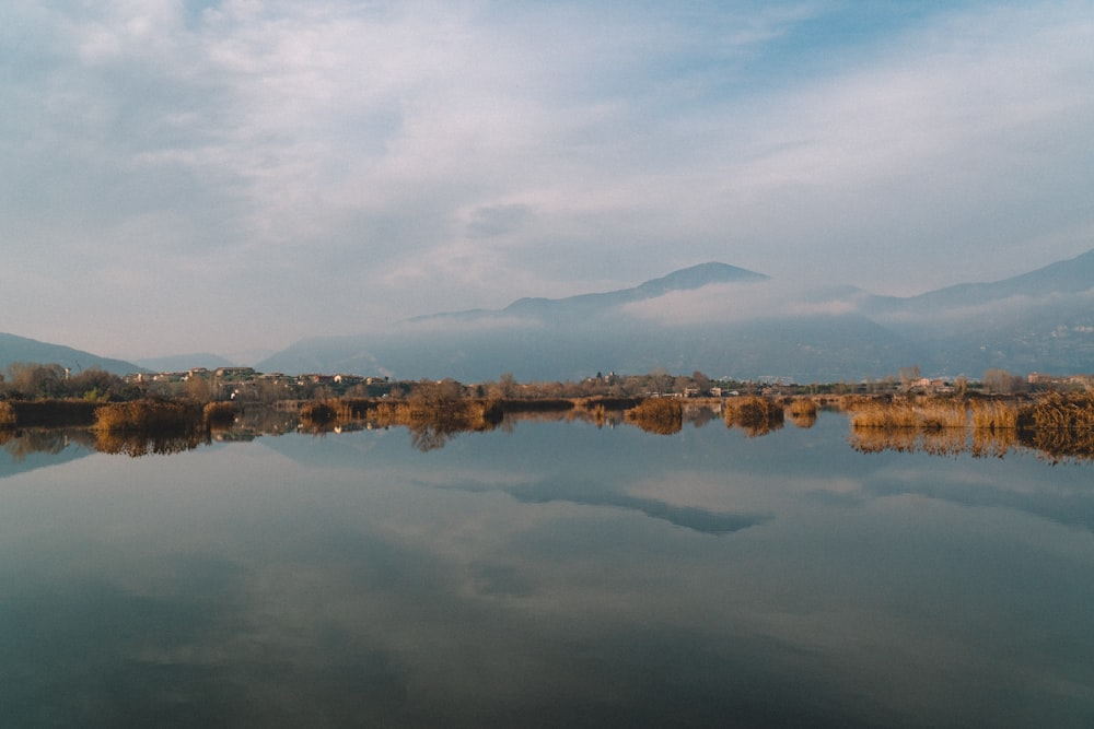 body of water near city buildings during daytime