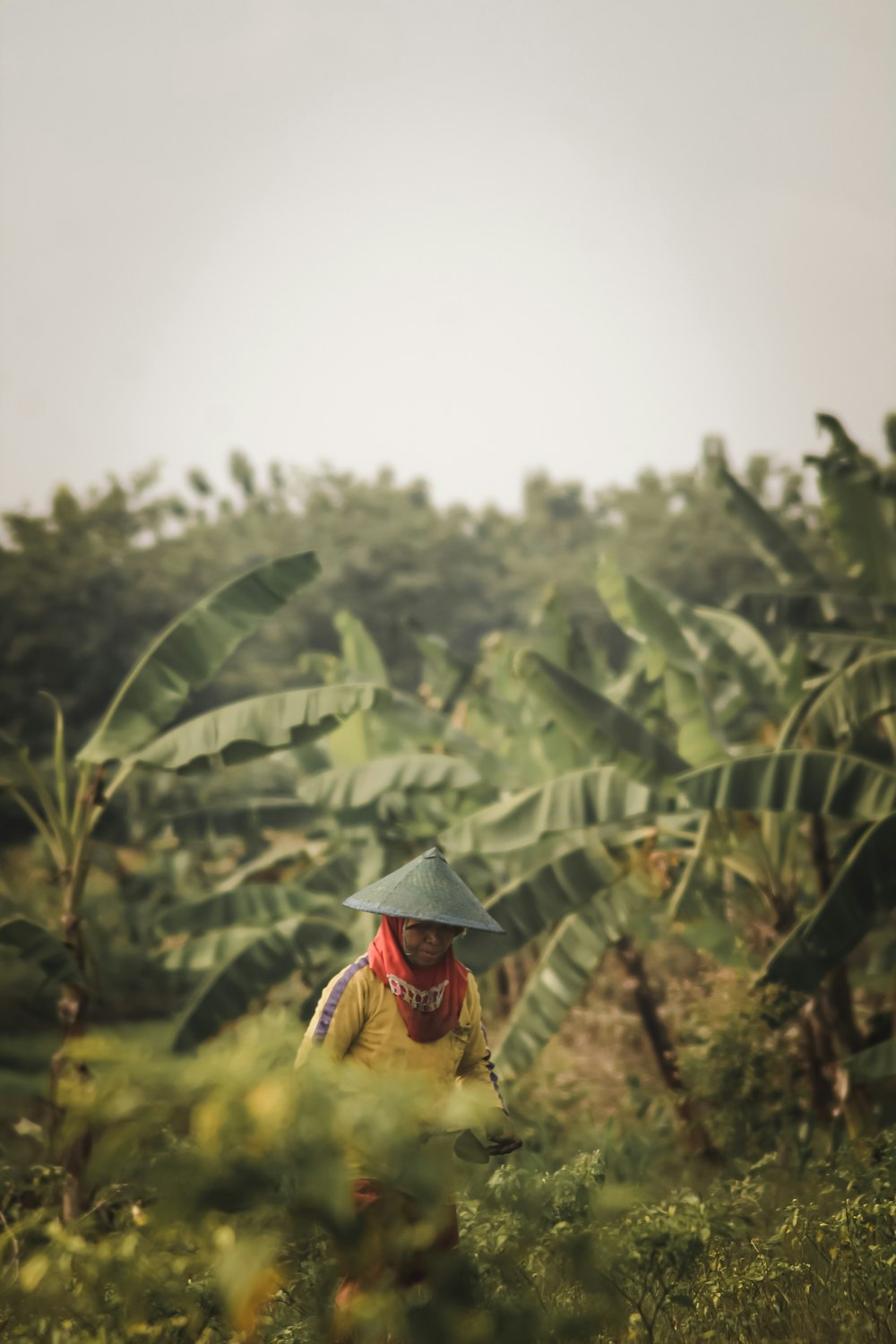 man in yellow shirt wearing black hat standing near green banana trees during daytime