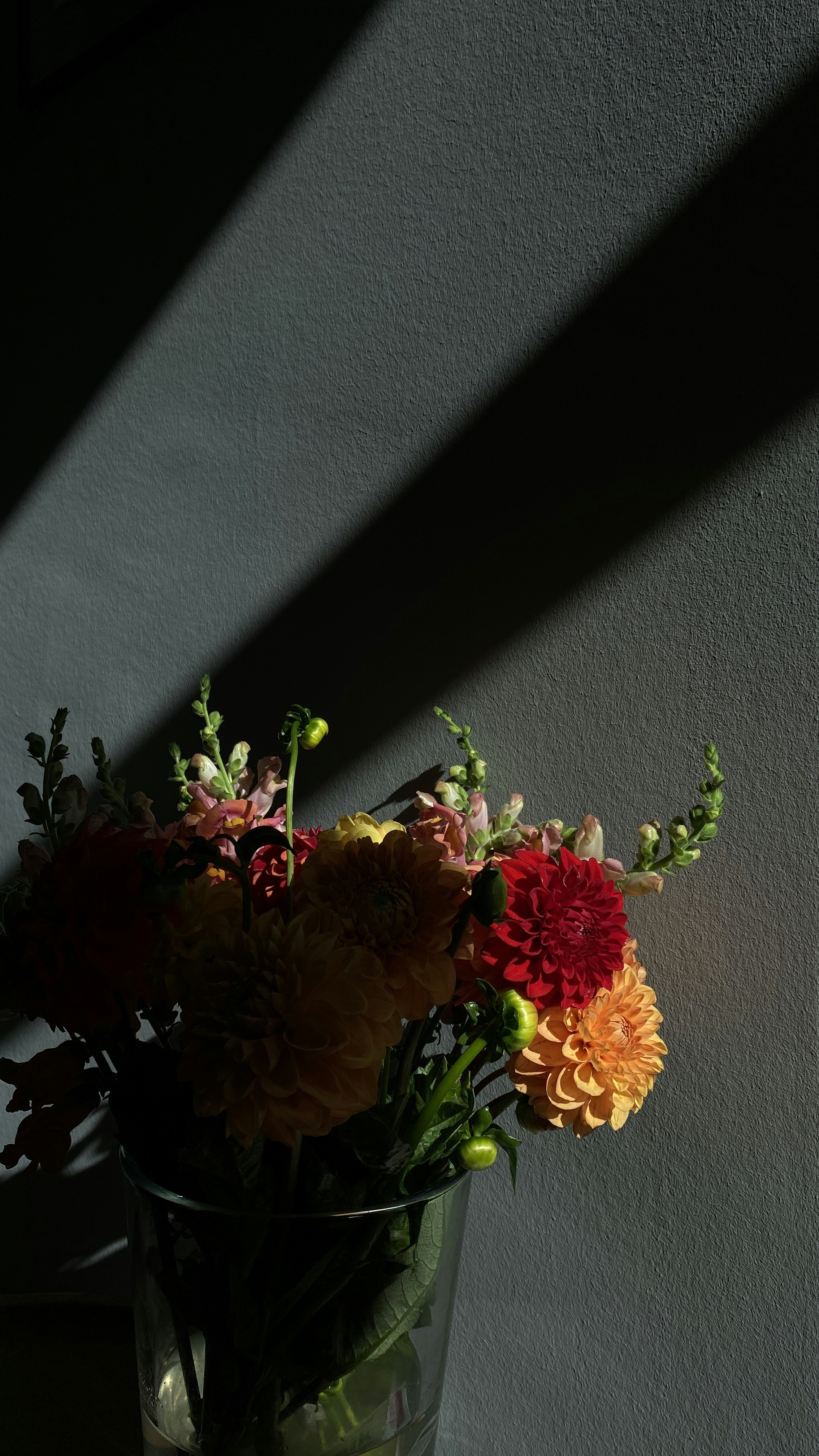 Photo by filipp_roman_photography