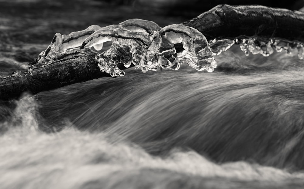 water splash on brown rock