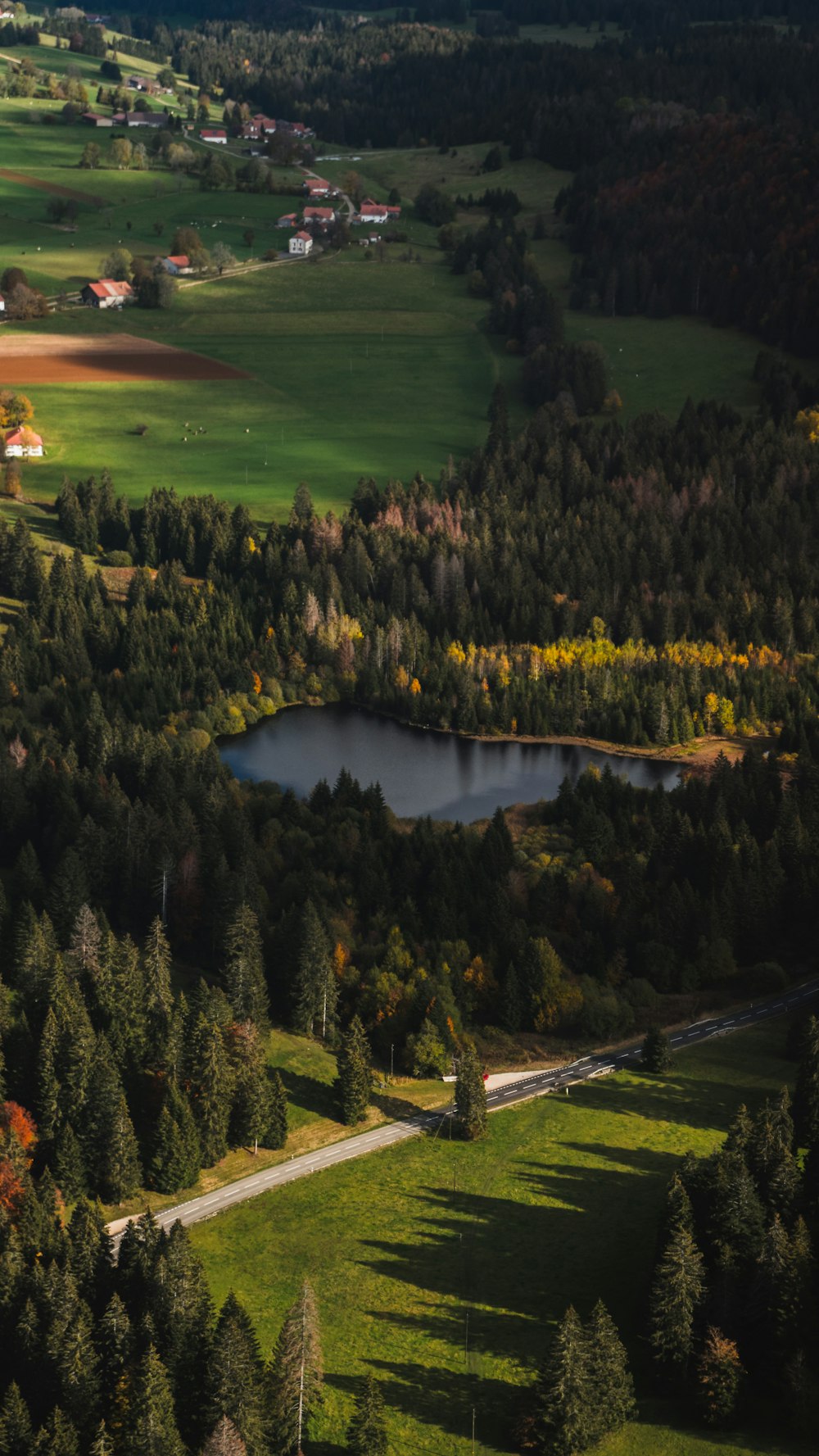 green trees near lake during daytime