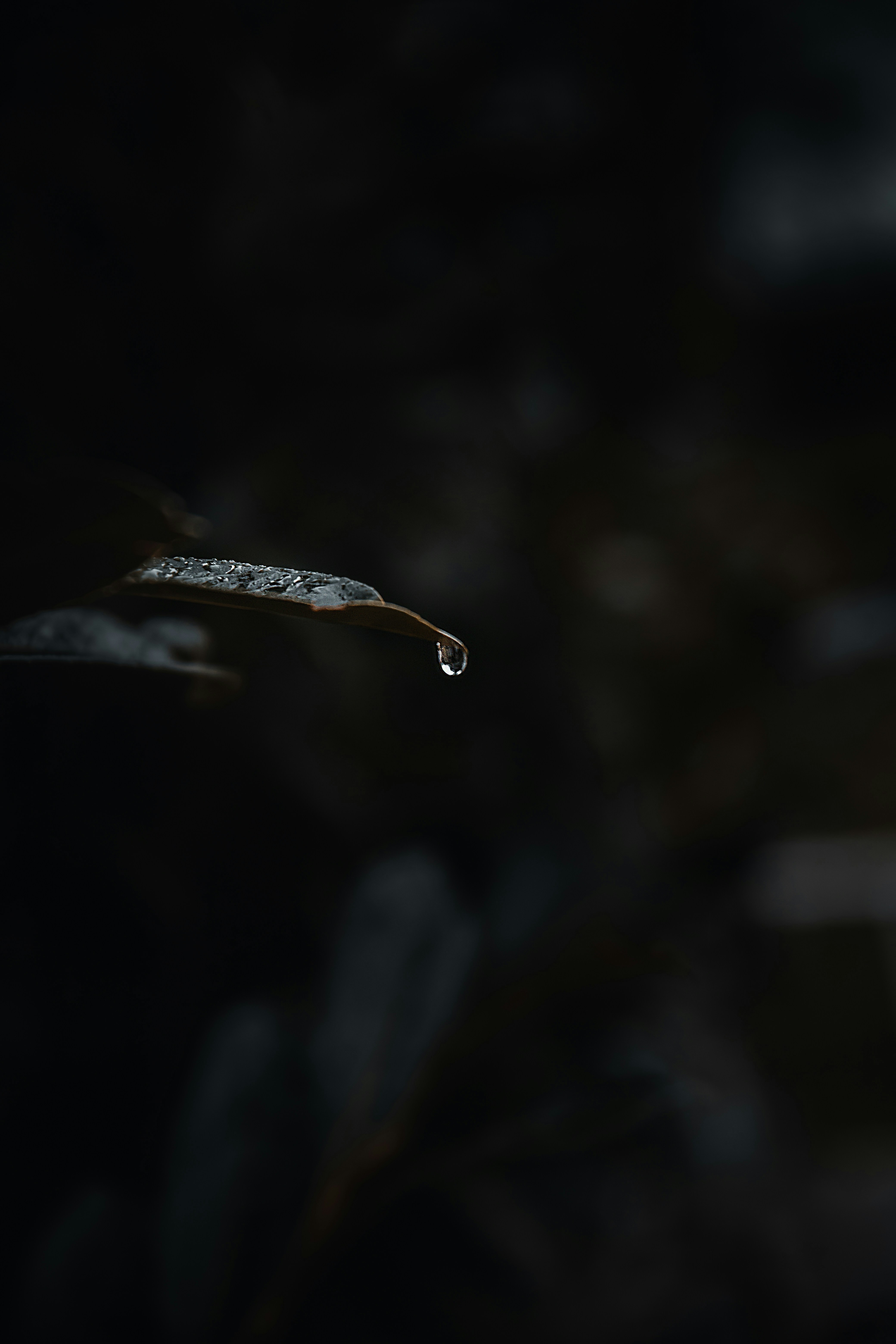 Photo by jusdevoyage