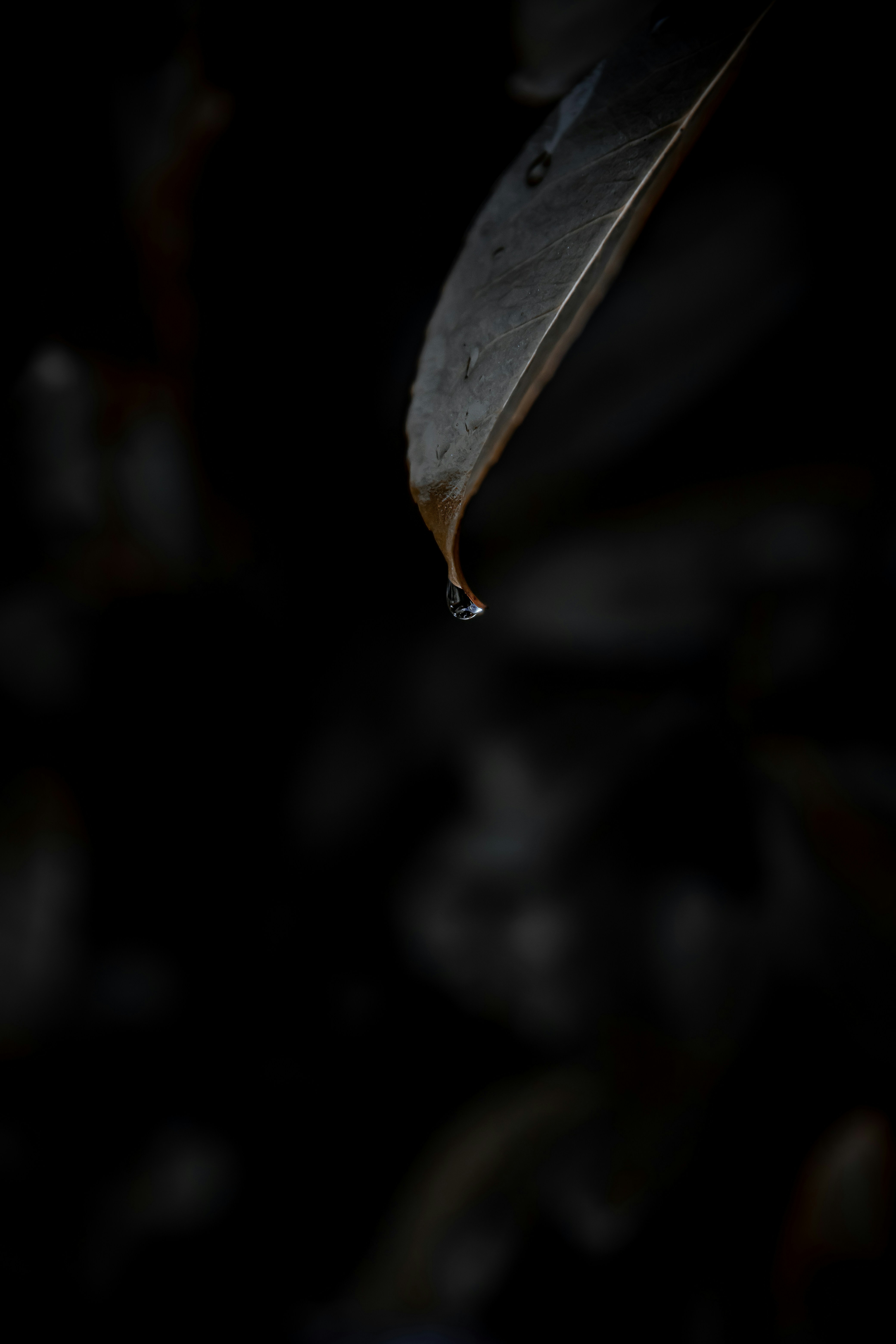 Photo by jusdevoyage