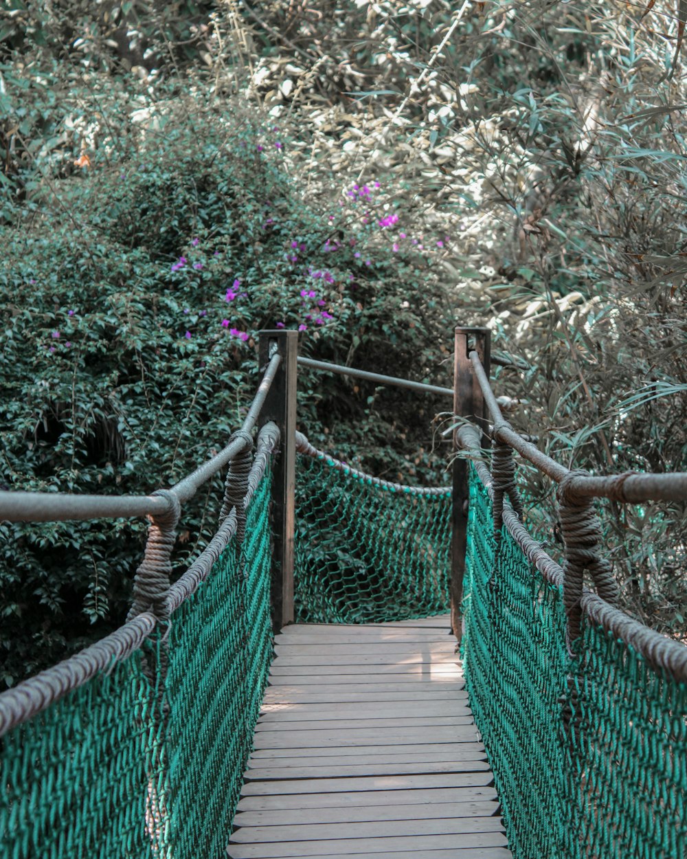 昼間は緑の木々に囲まれた茶色の木造吊り橋
