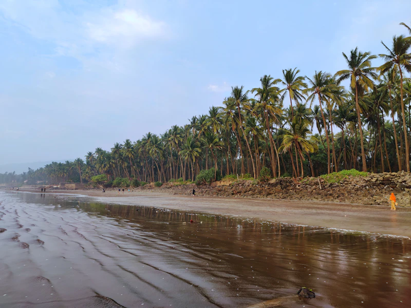 Top Sports Bars in Alibaug to Watch the Match With the Crowd