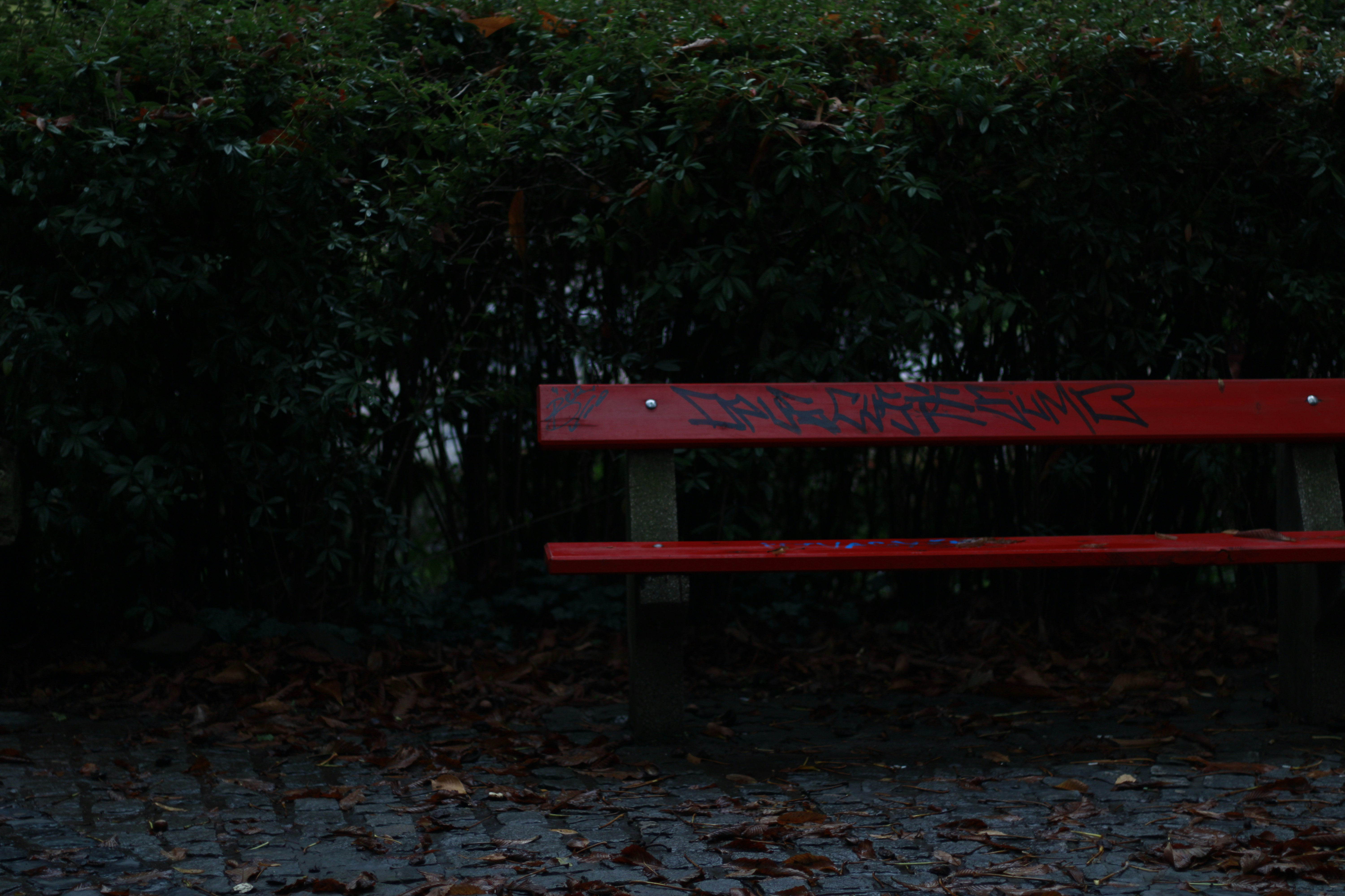 red wooden bench near green trees