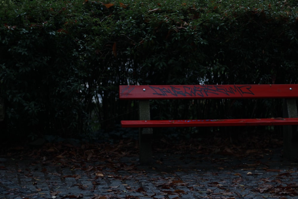 red wooden bench near green trees