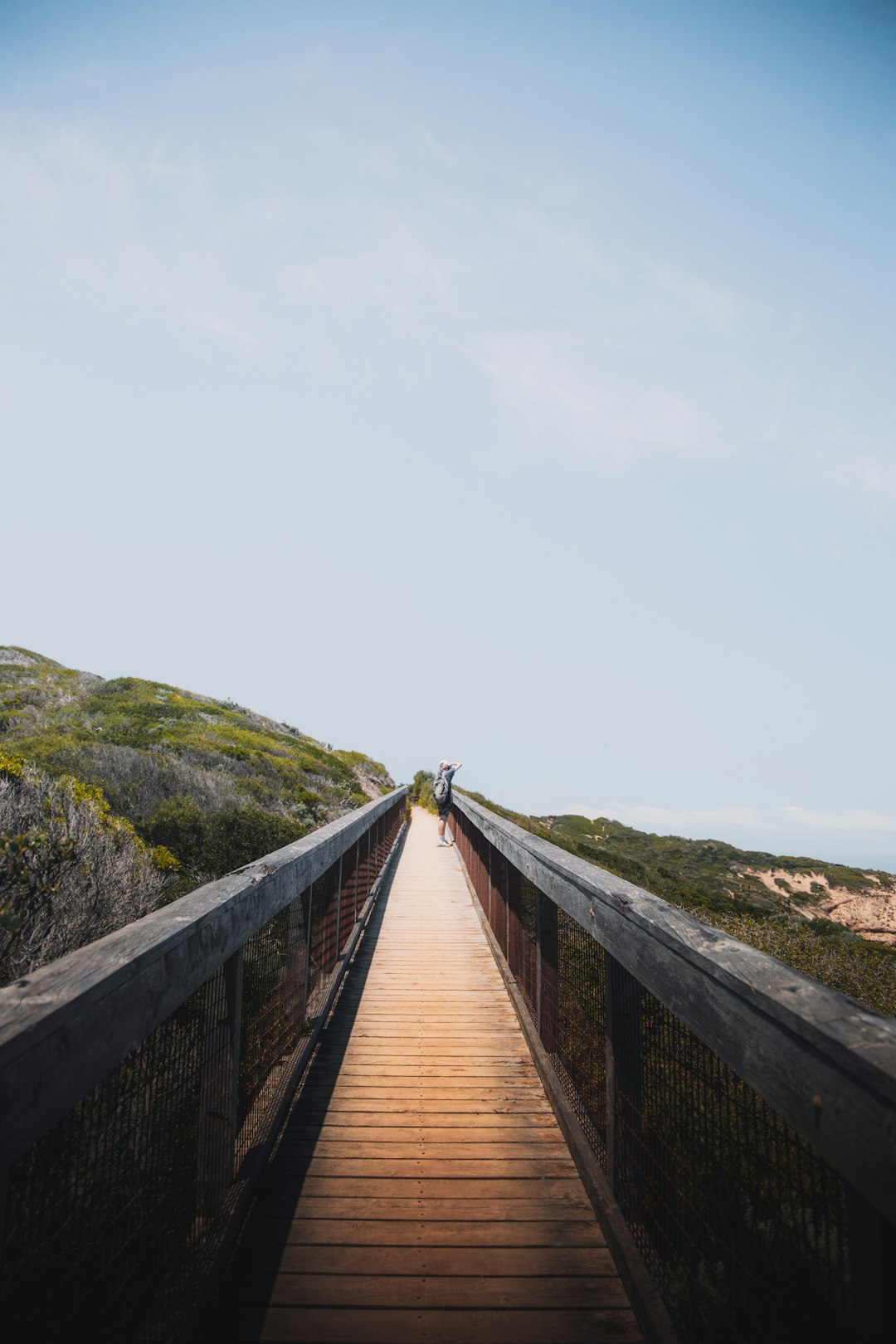 brown wooden bridge on mountain during daytime