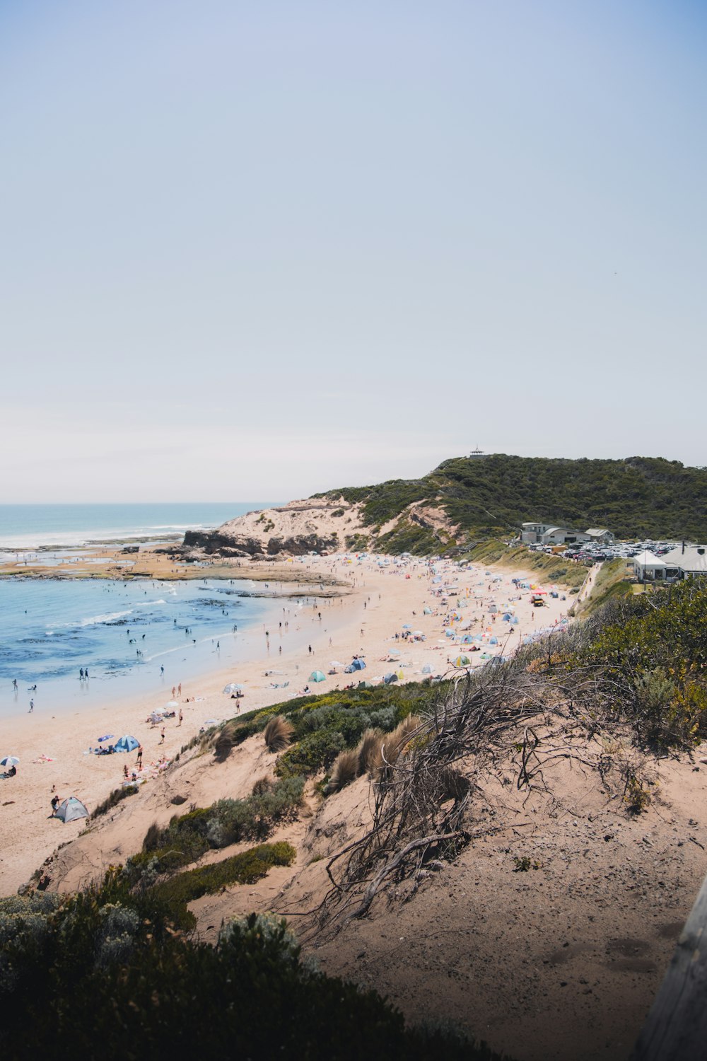 people on beach during daytime