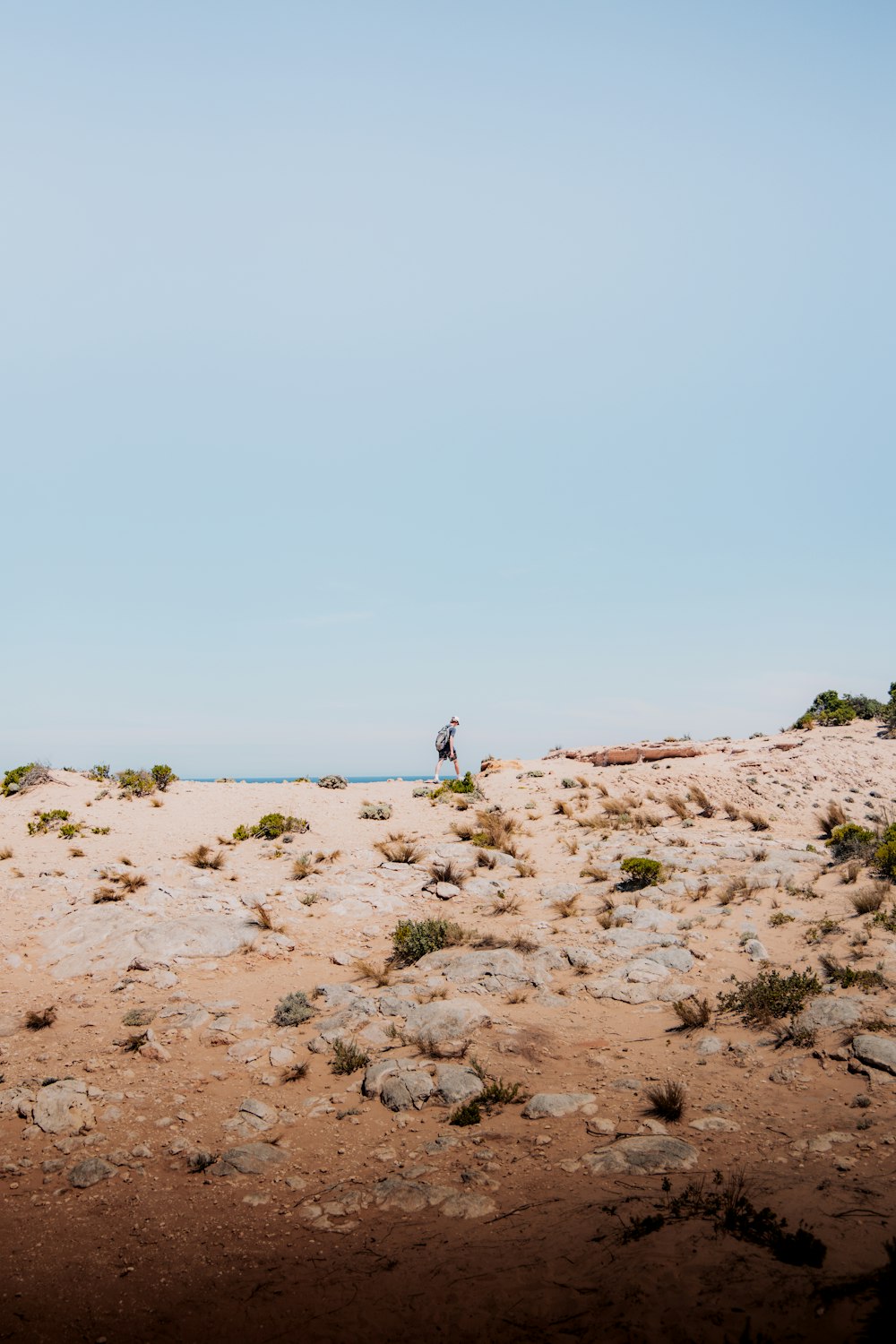 2 people walking on brown sand during daytime