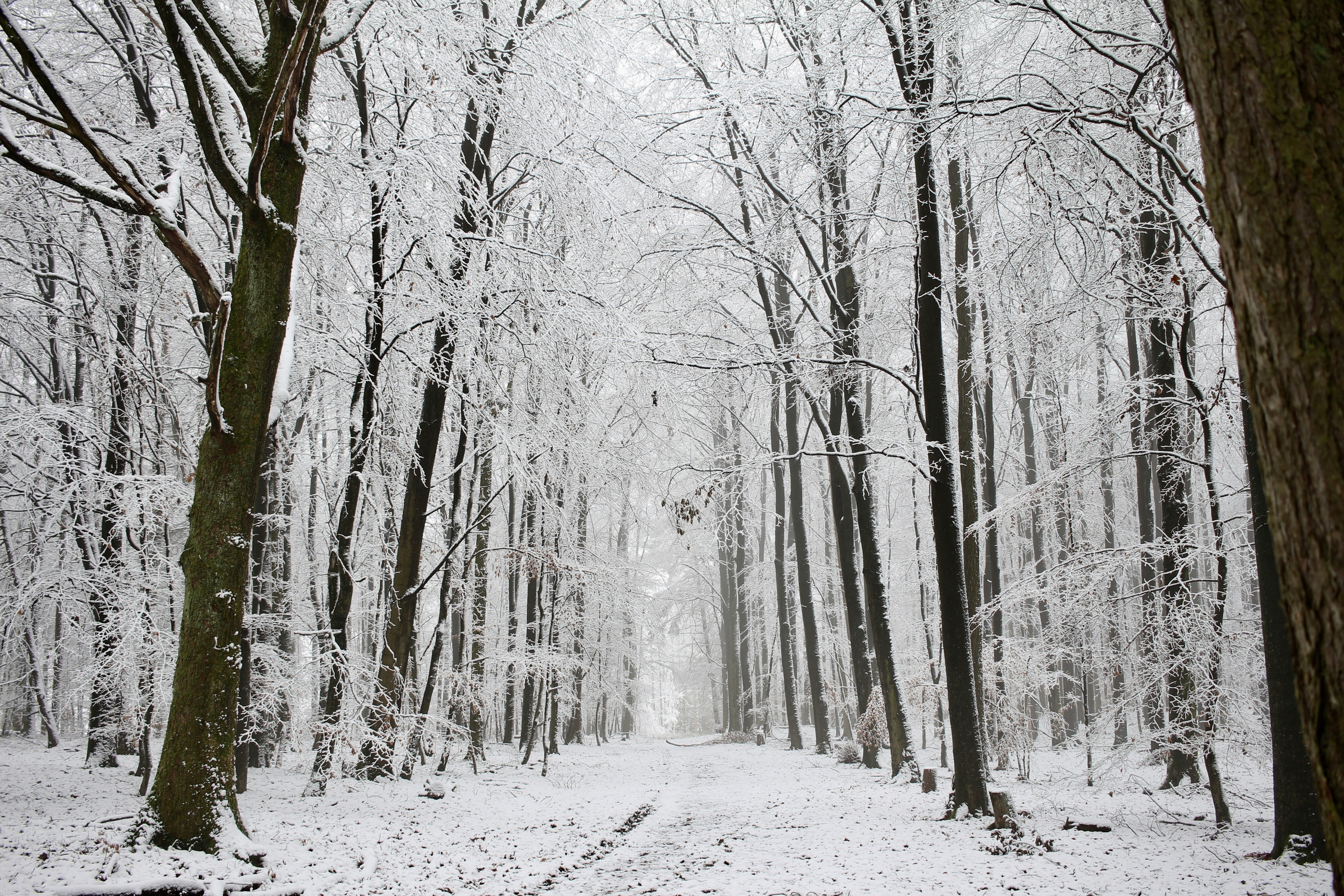 Photo by lilysphotography