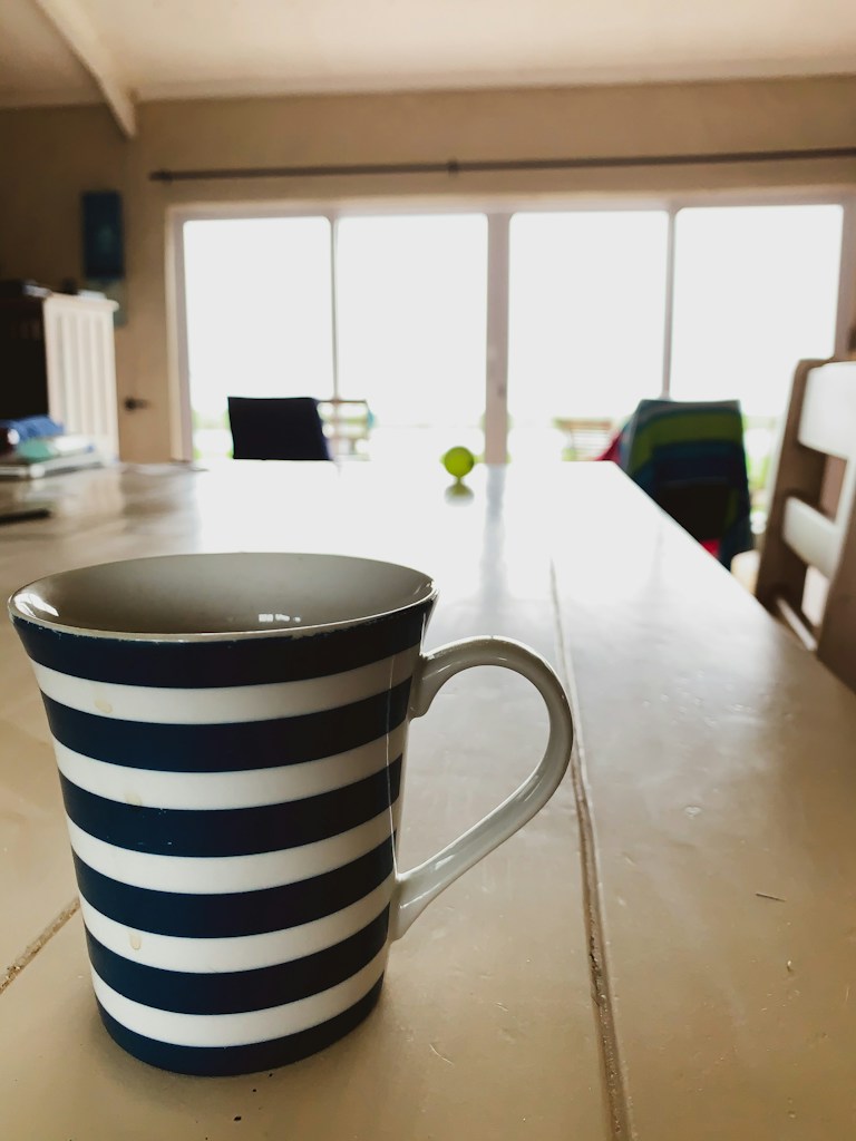Speckled Morning Mug