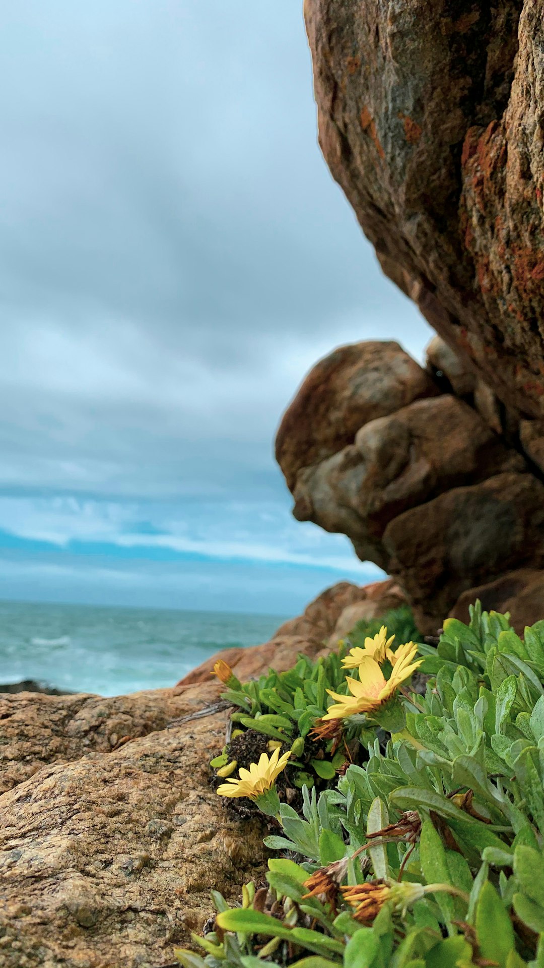 brown rock formation near body of water during daytime