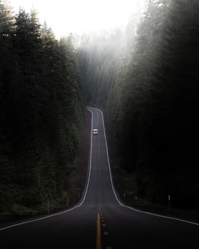 Close-up of sunlight filtering through fog over an empty winding road.