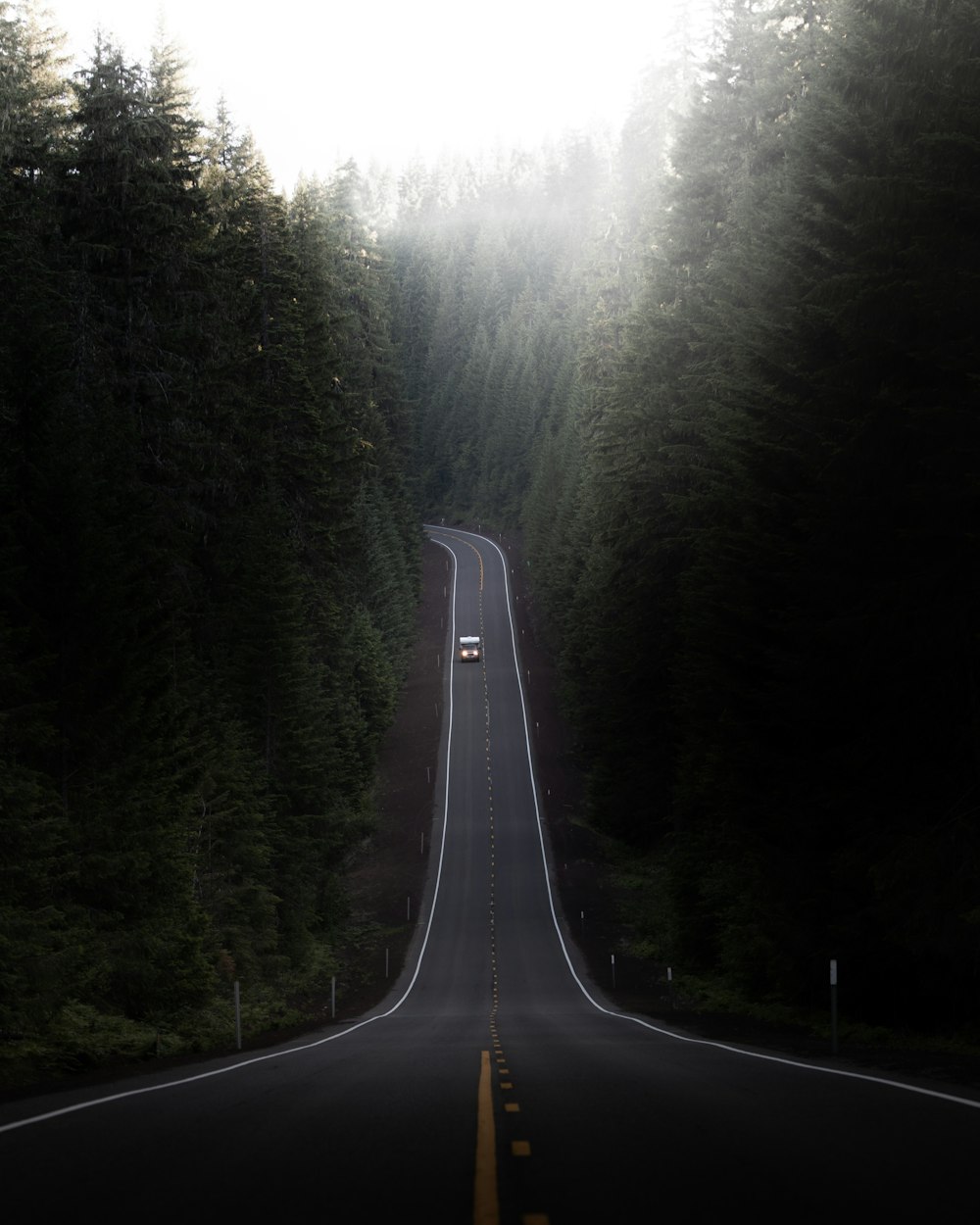 black asphalt road between green trees during daytime