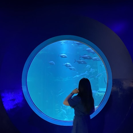A person stands in front of a large circular aquarium window, observing fish swimming in a blue-lit tank. The scene is dimly lit, emphasizing the vibrant aquatic environment inside the tank.