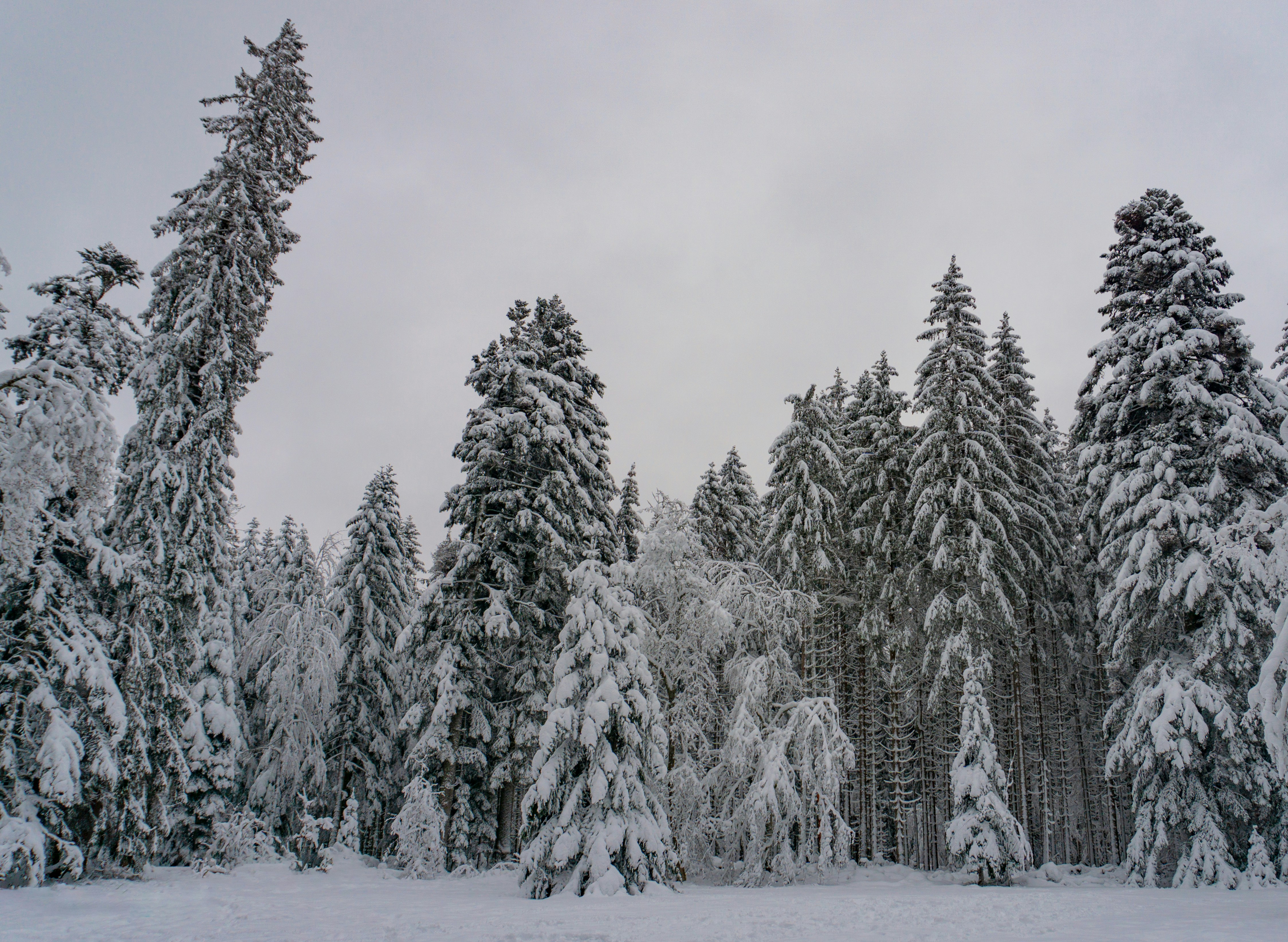 Photo by leonardo_64