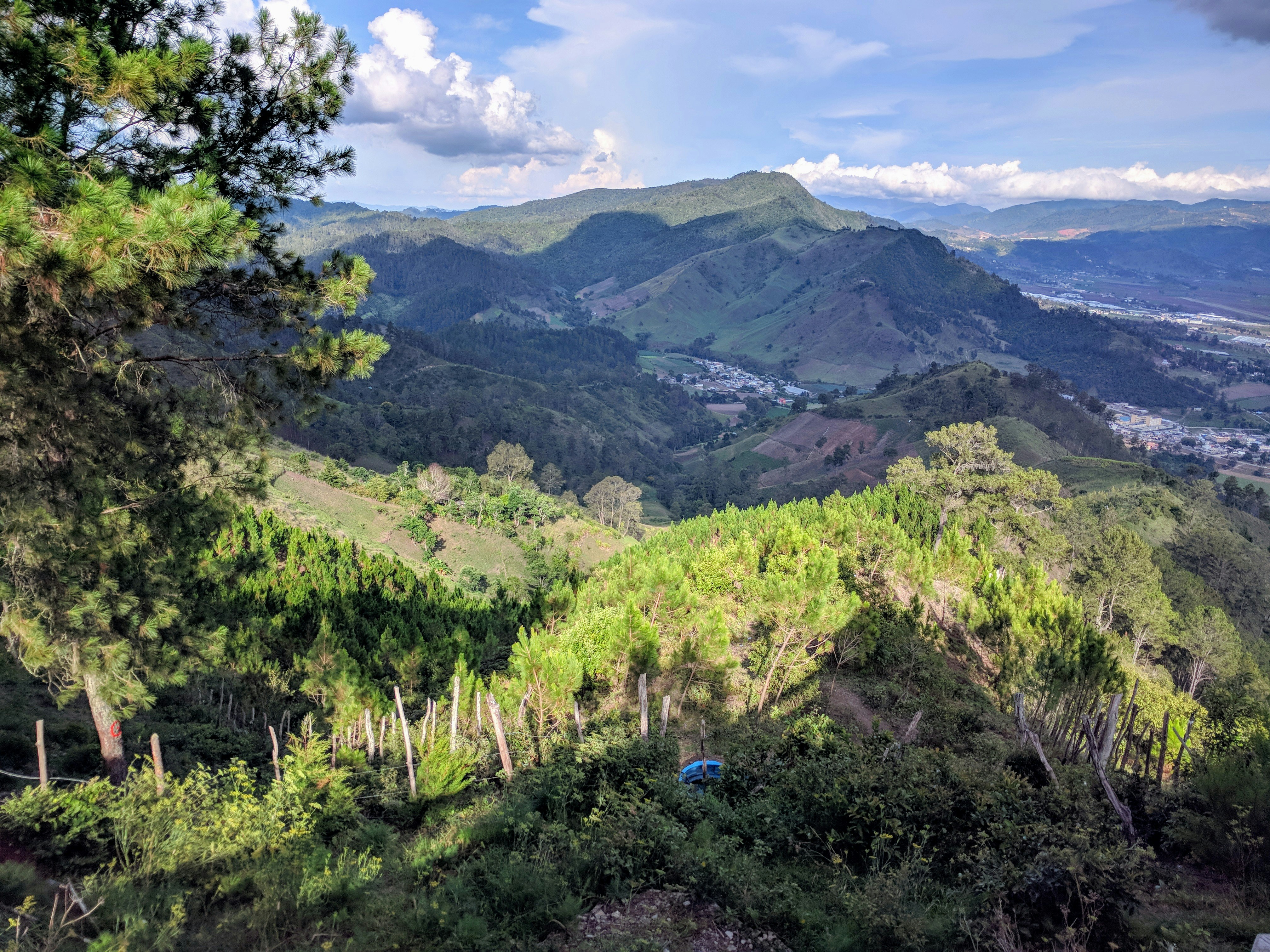 green trees on mountain under white clouds during daytime