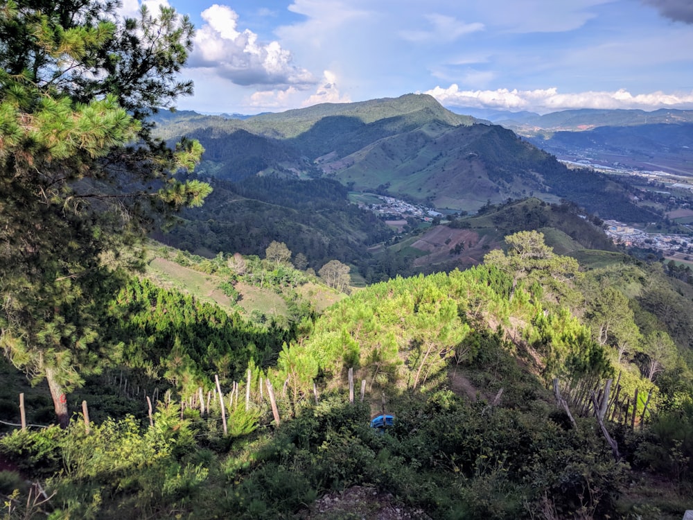 Grüne Bäume auf dem Berg tagsüber unter weißen Wolken