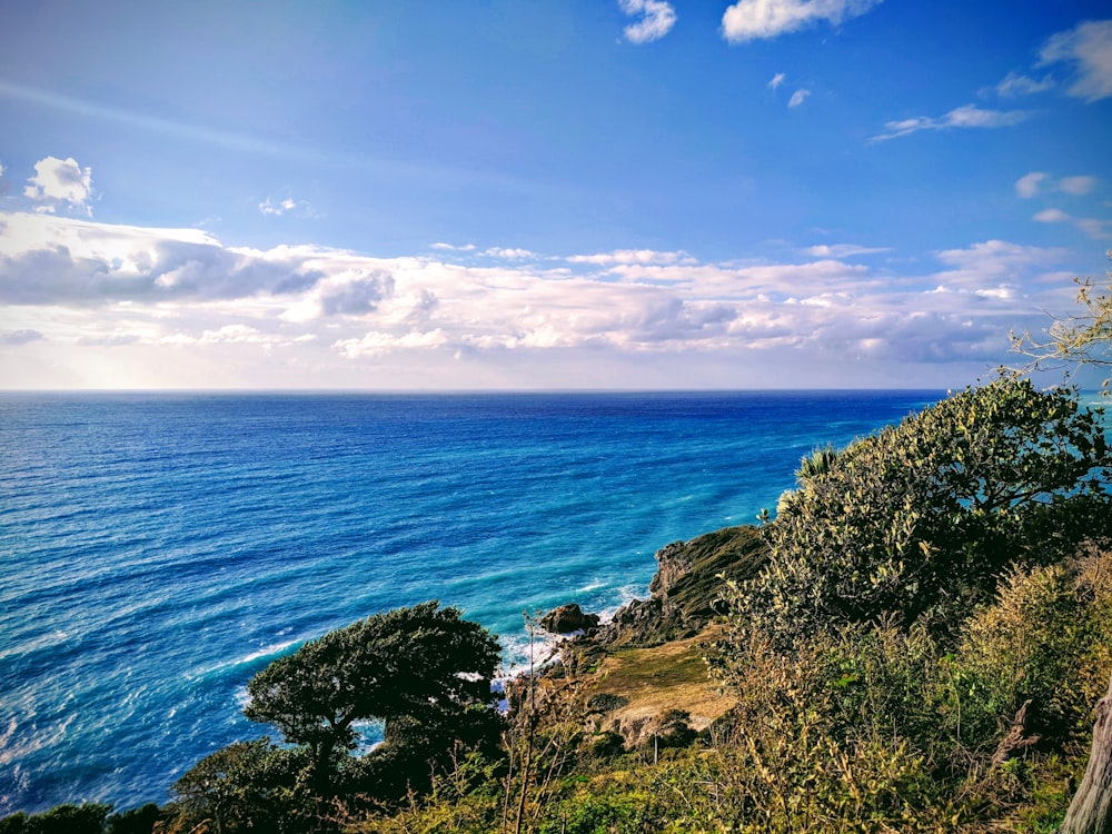 green grass on brown rock formation near blue sea under blue and white cloudy sky during