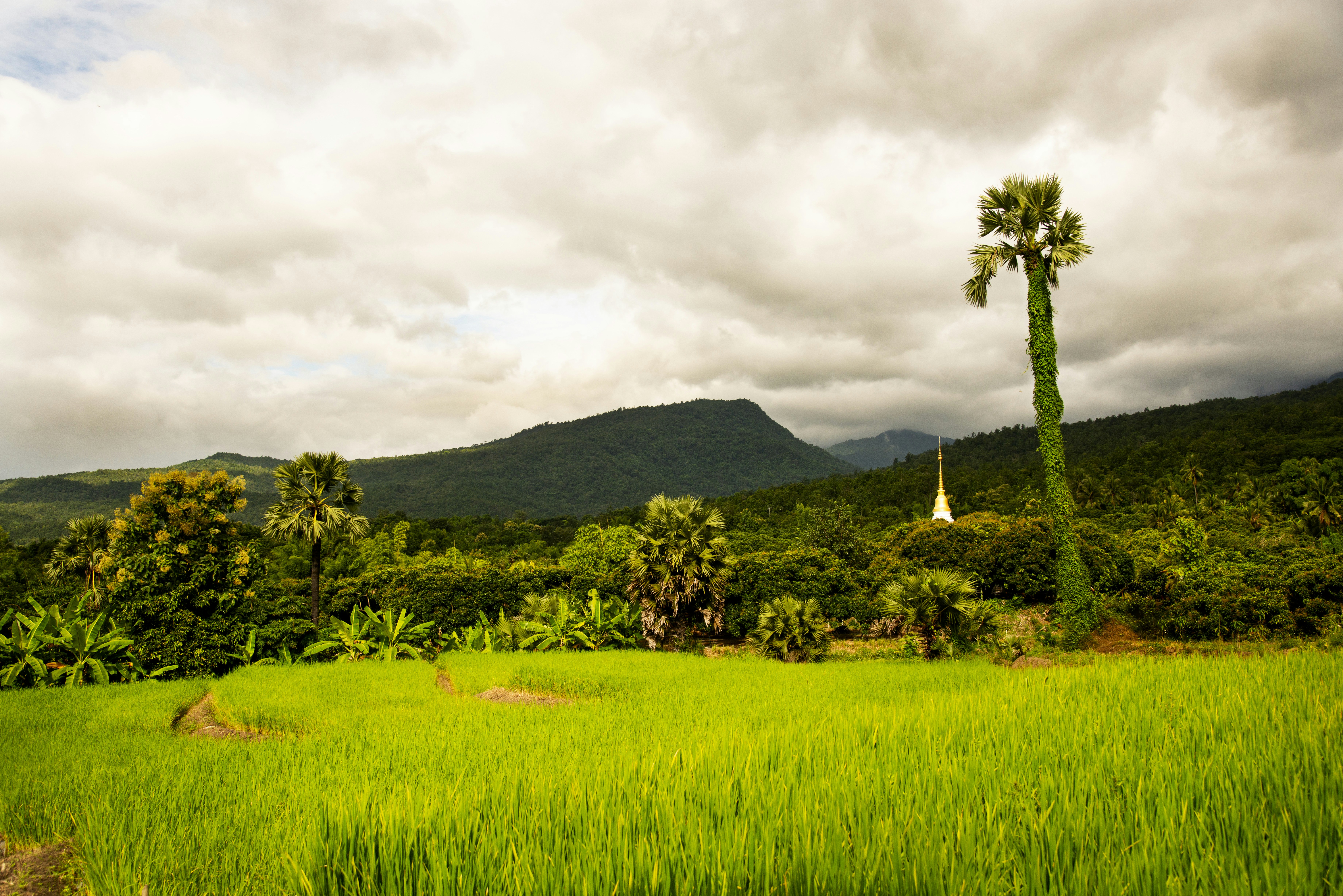 Photo by photographycoursenet