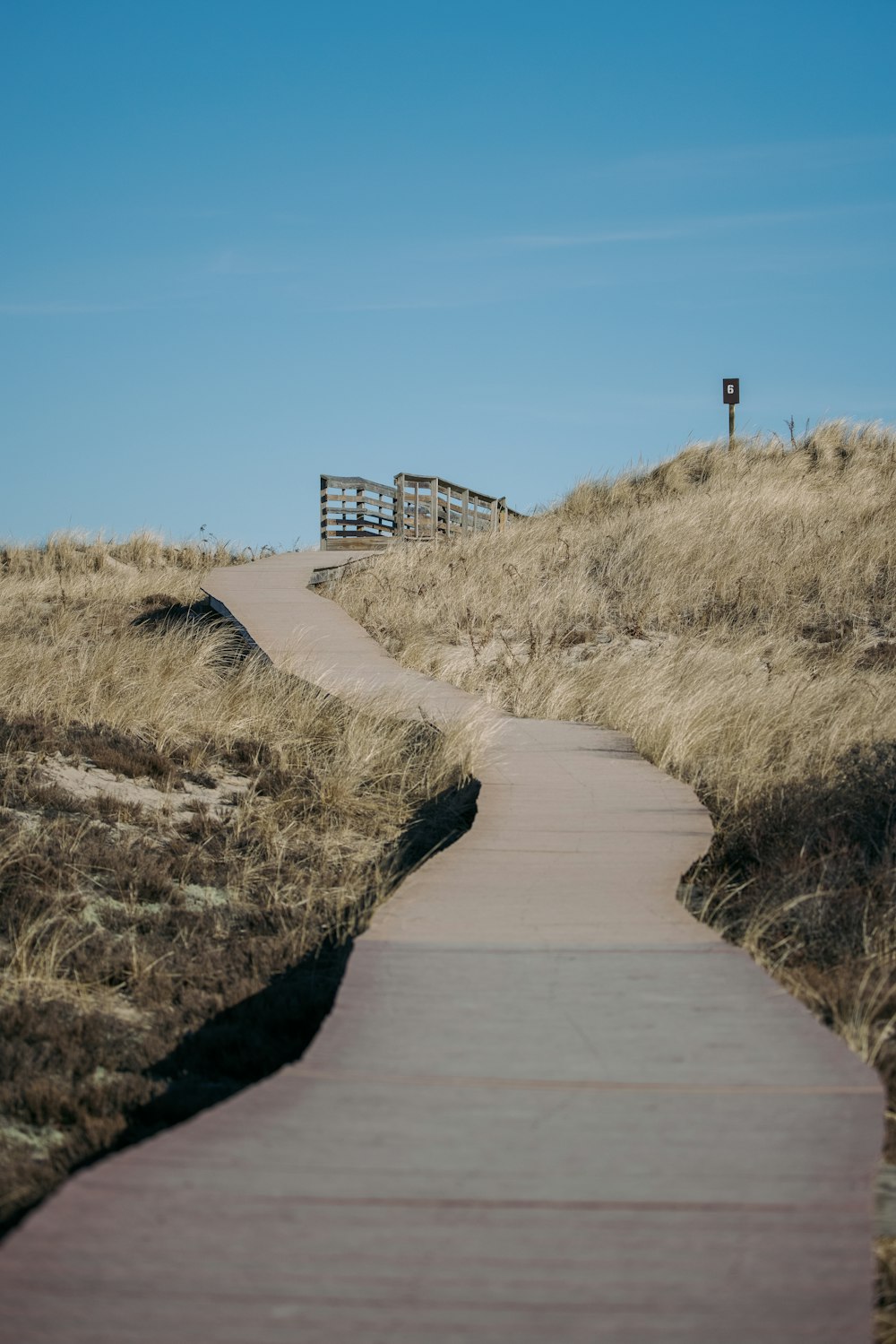 brown wooden pathway between brown grass field under blue sky during daytime