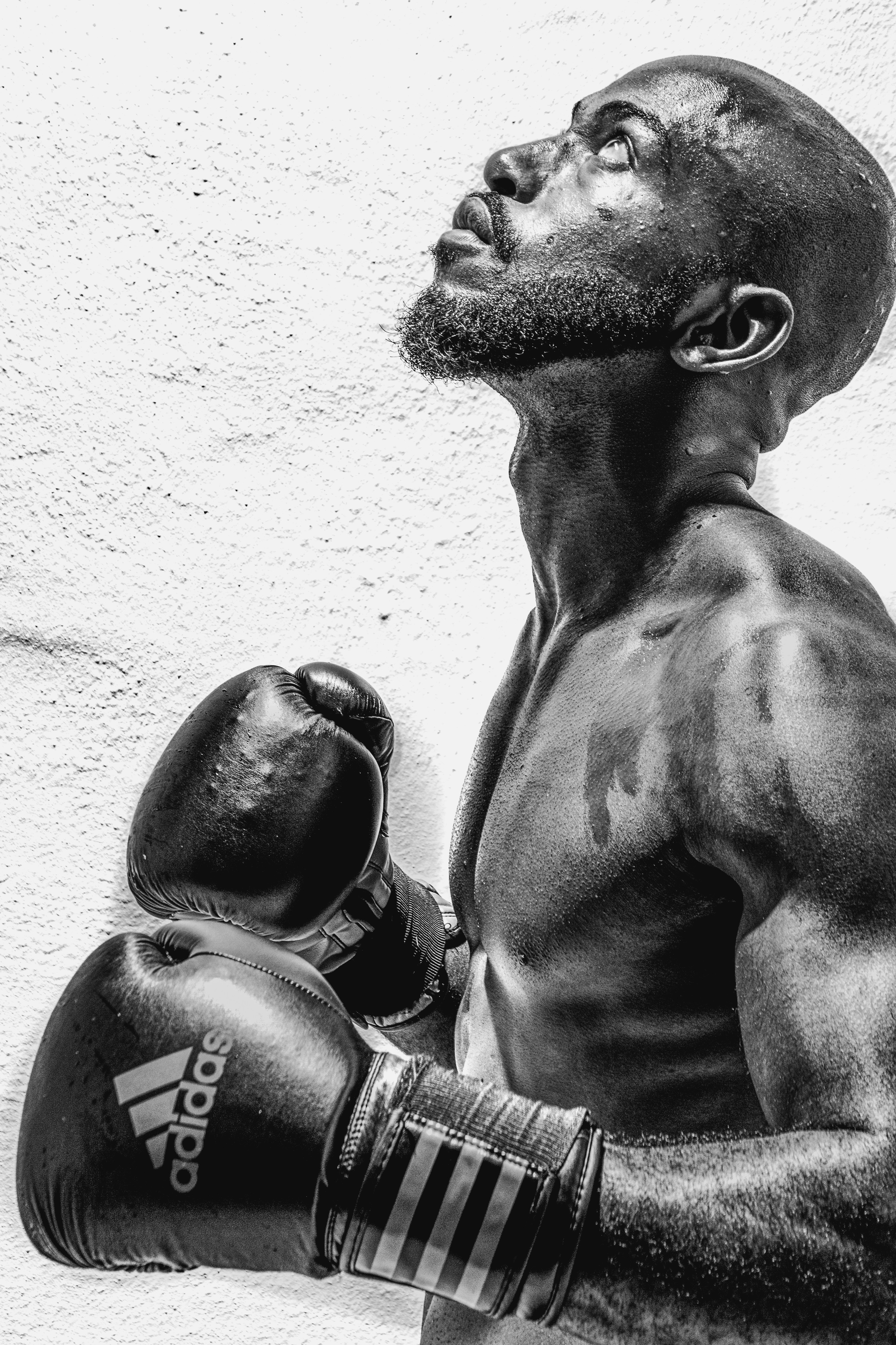 Best Boxing Gloves Pictures HD Download Free Images on Unsplash photo