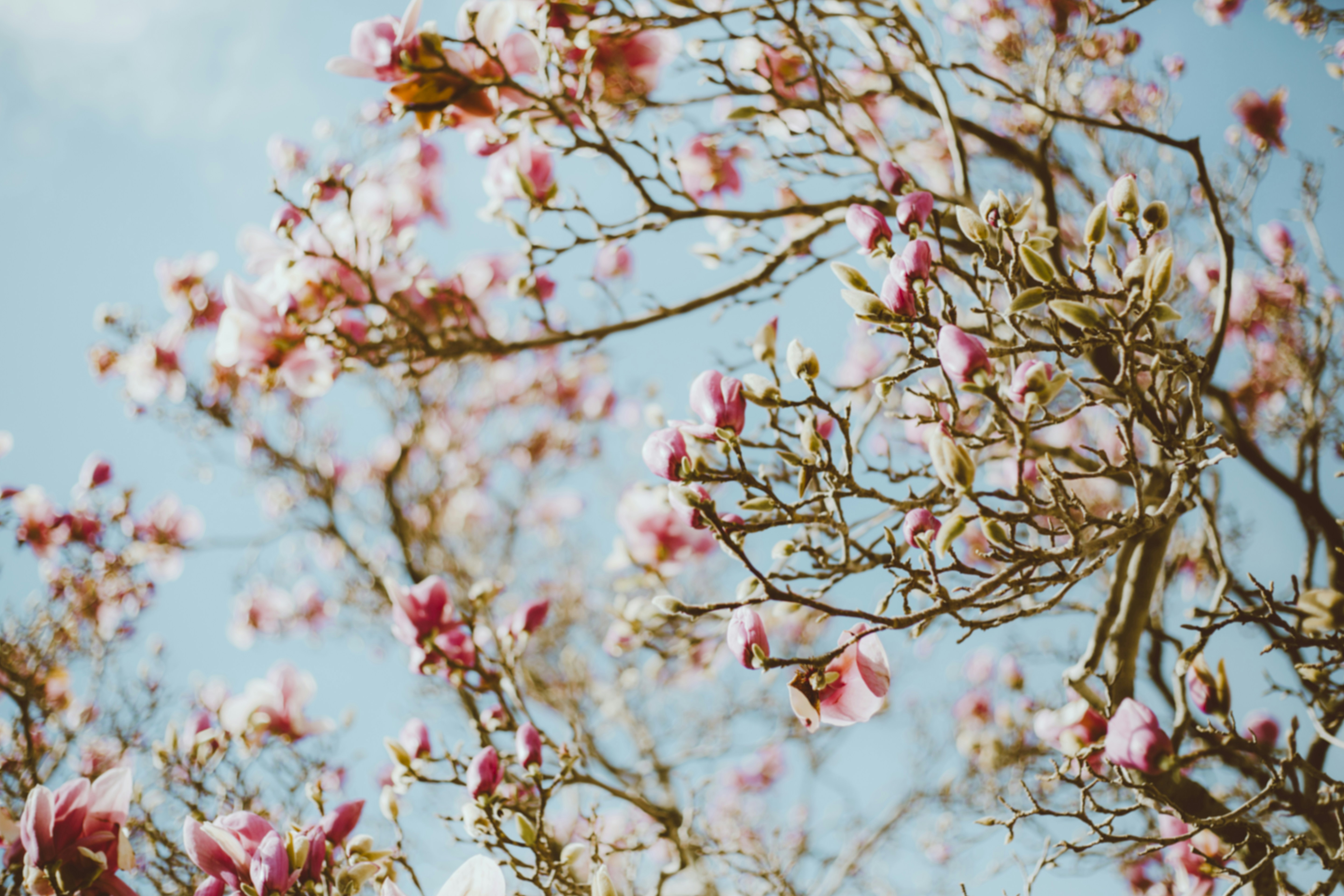 Photo by i_am_simoesse