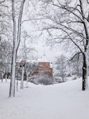 brown concrete building near trees covered with snow during daytime