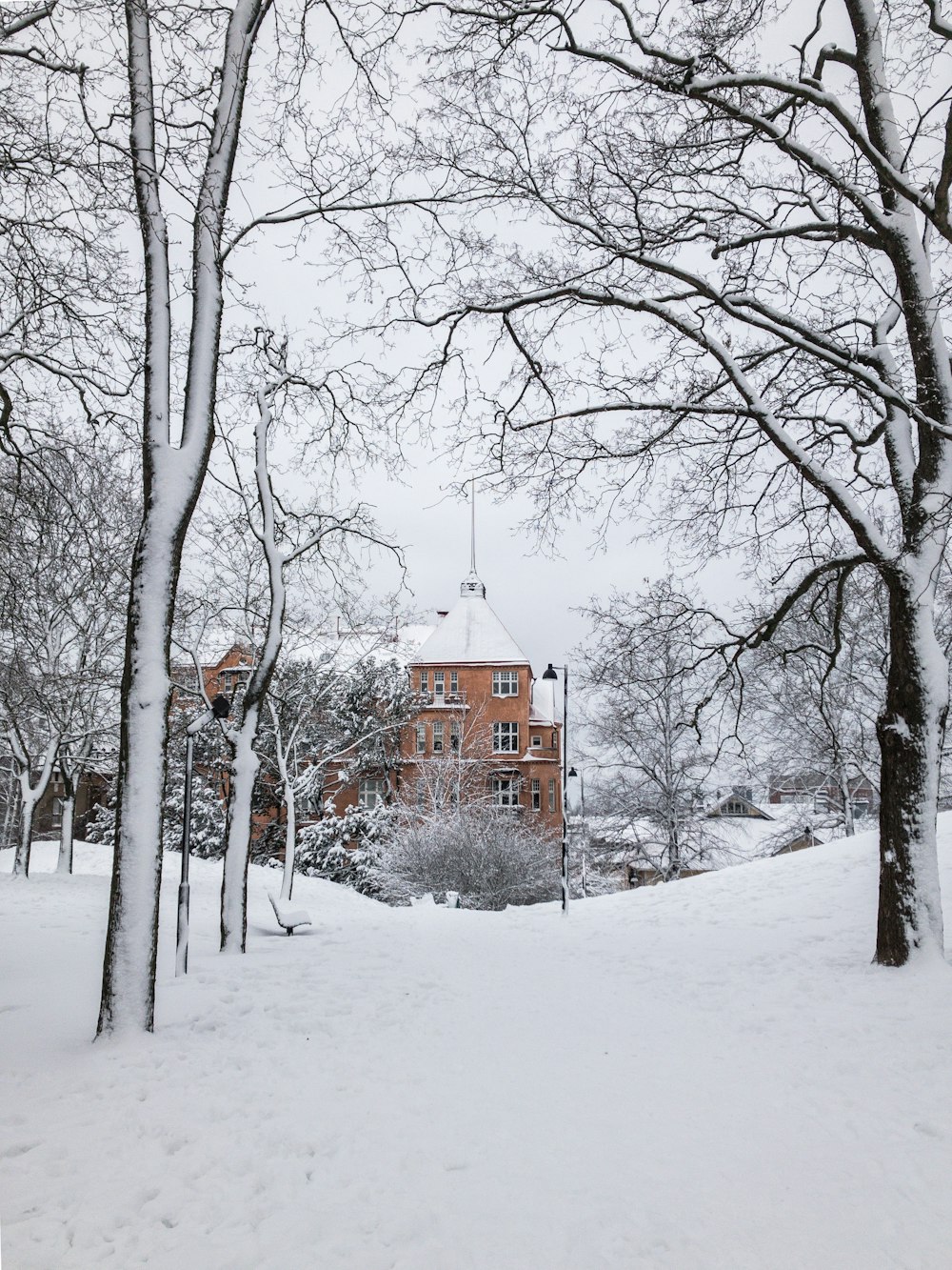 brown concrete building near trees covered with snow during daytime