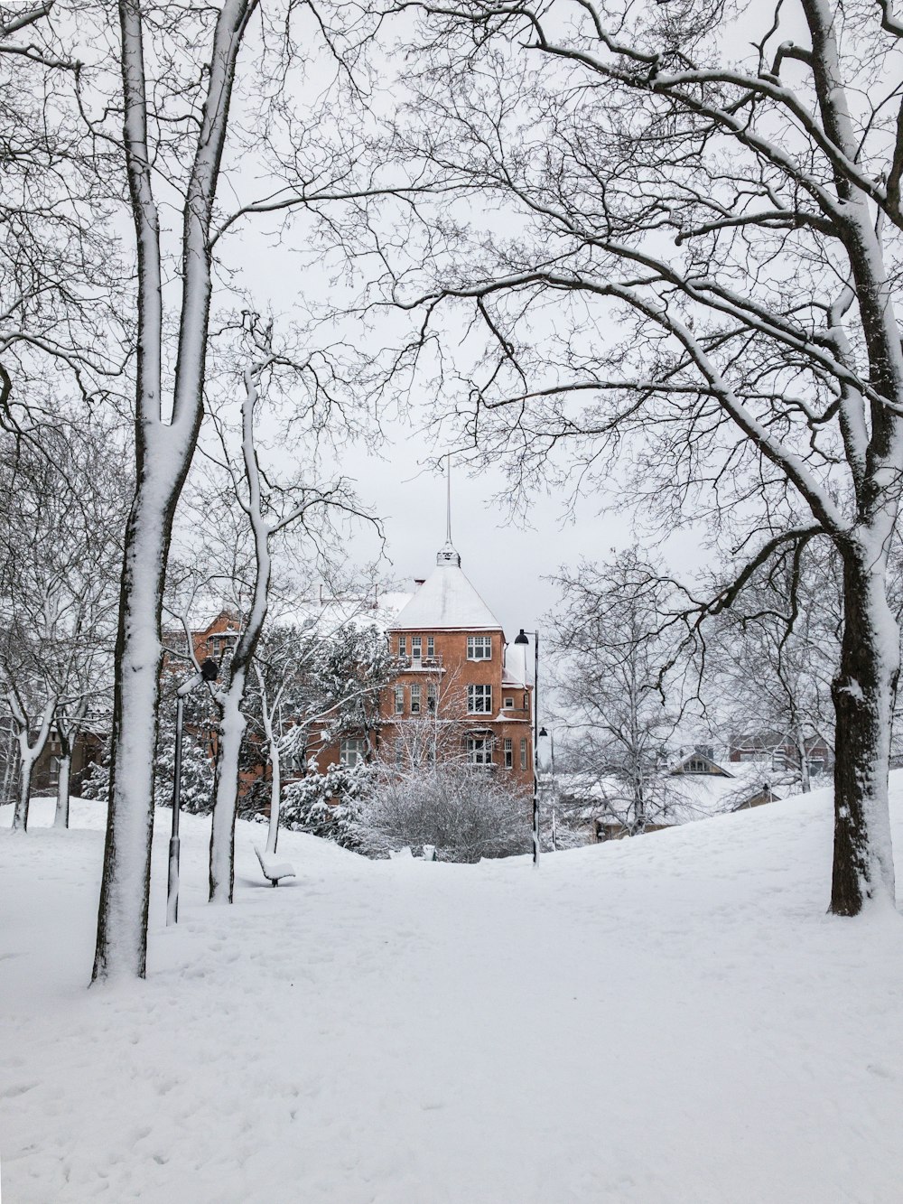 昼間は雪に覆われた木々の近くの茶色のコンクリートの建物
