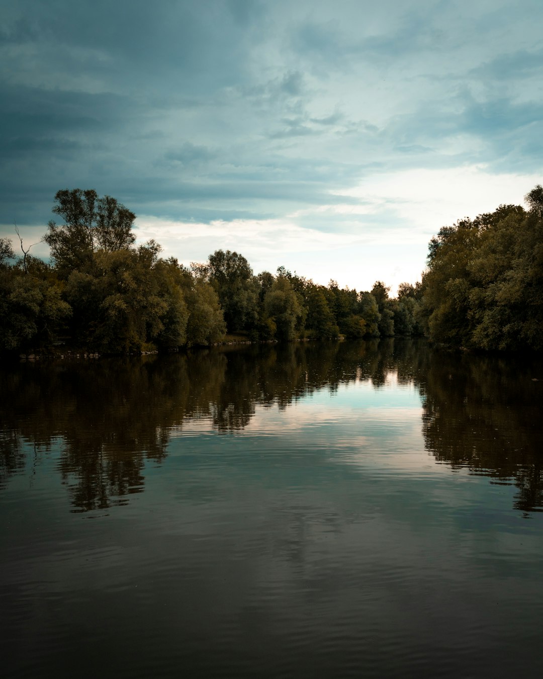 green trees beside river under cloudy sky during daytime