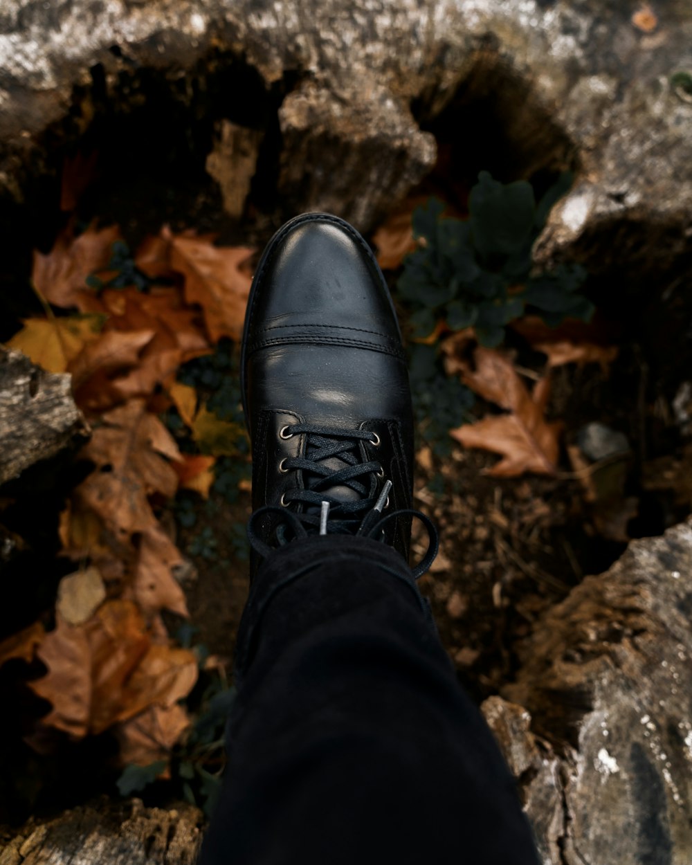 person wearing black leather shoe