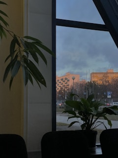 Luxurious modern apartment with golden accents and city view at sunset