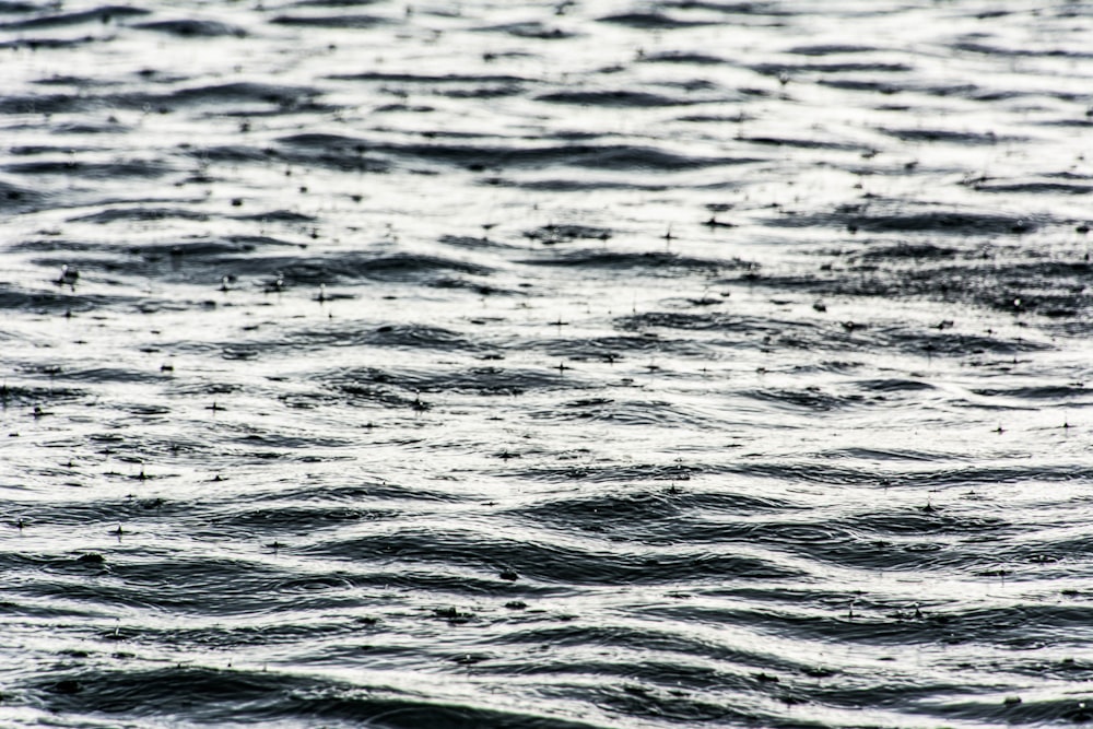 blue body of water during daytime