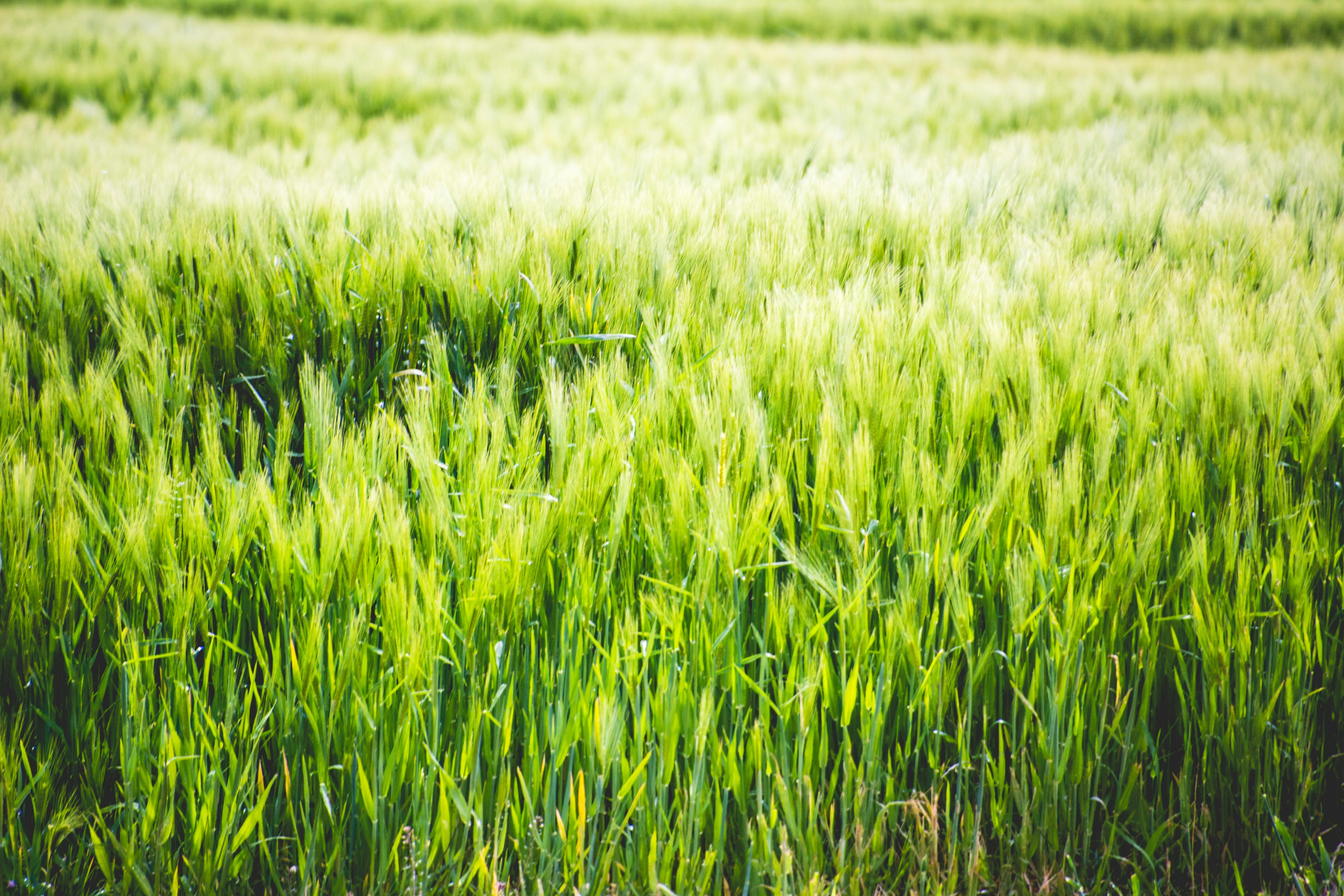 Photo by thomascouillard