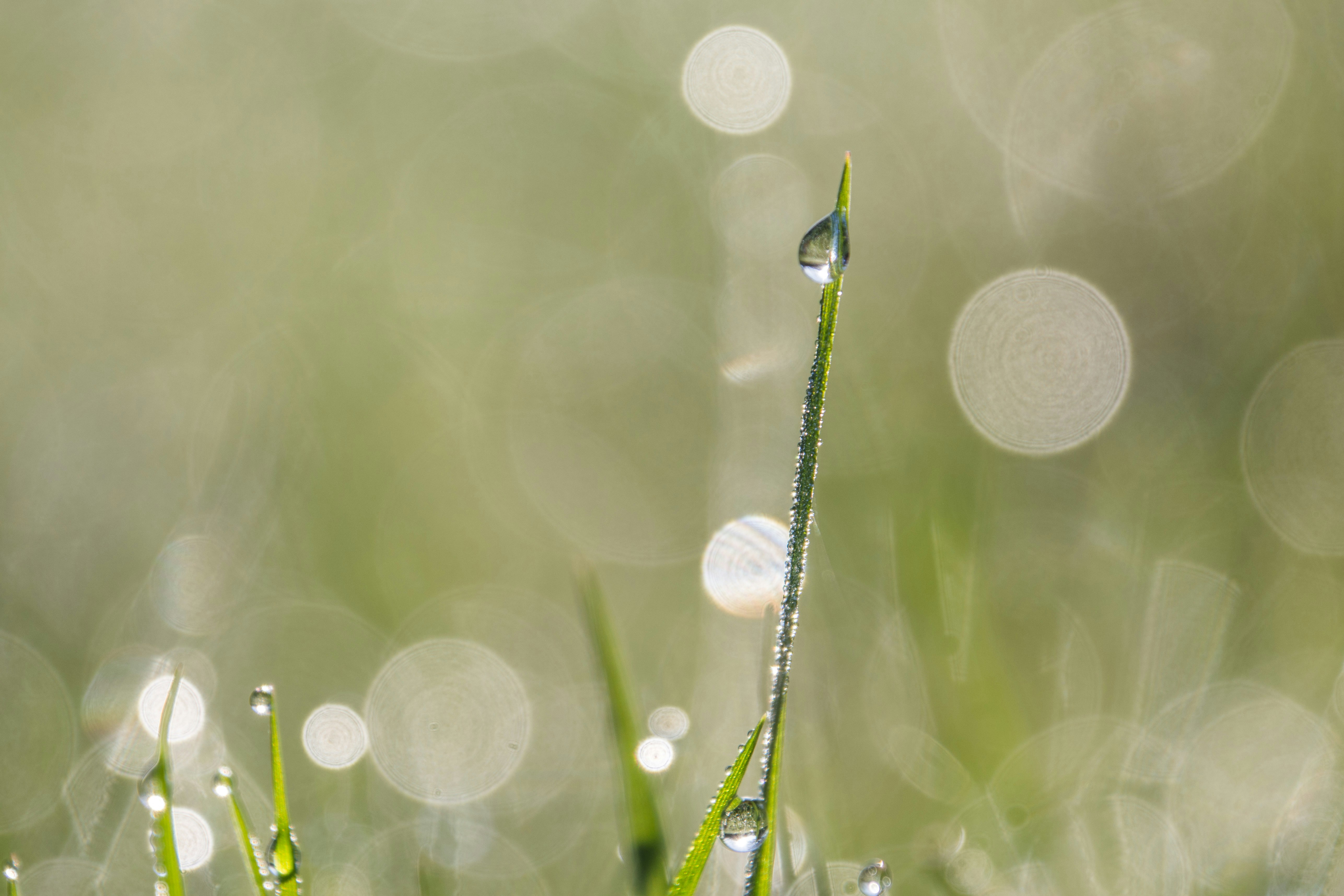 Photo by thomascouillard