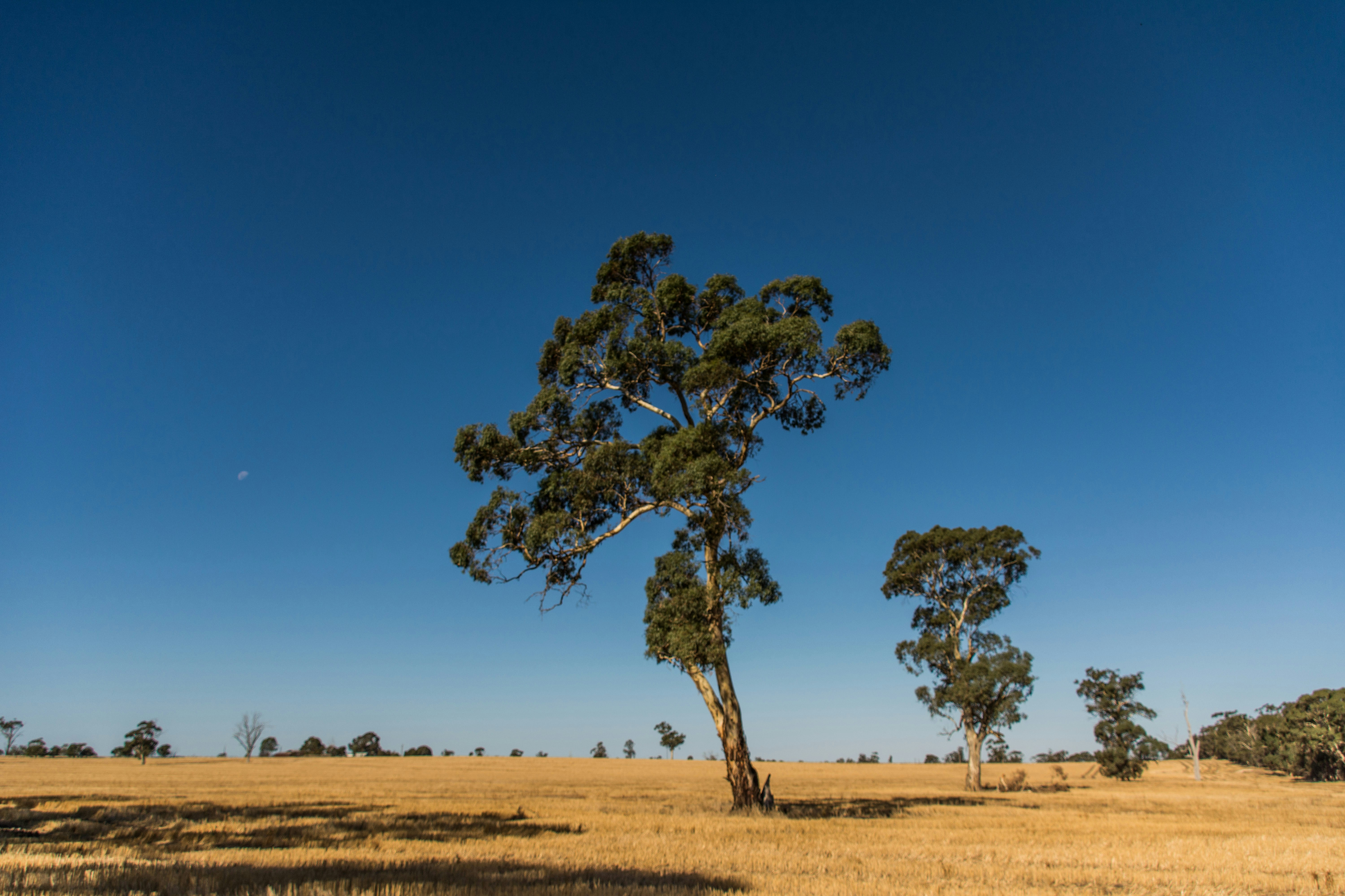 Photo by thomascouillard