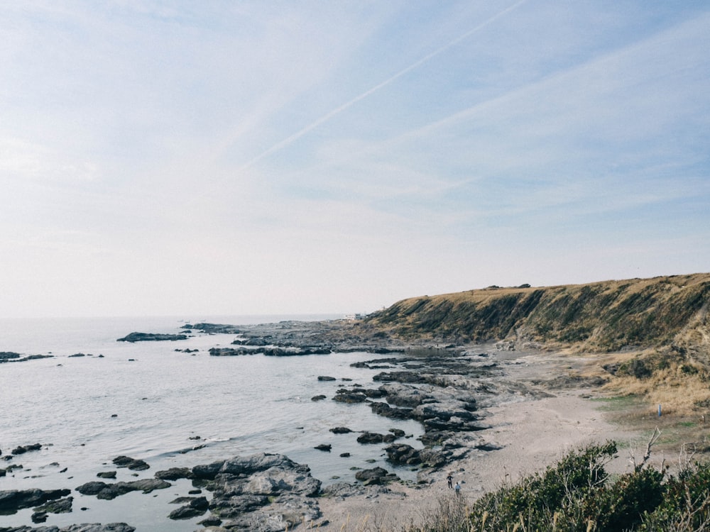 green grass on brown rocky shore during daytime