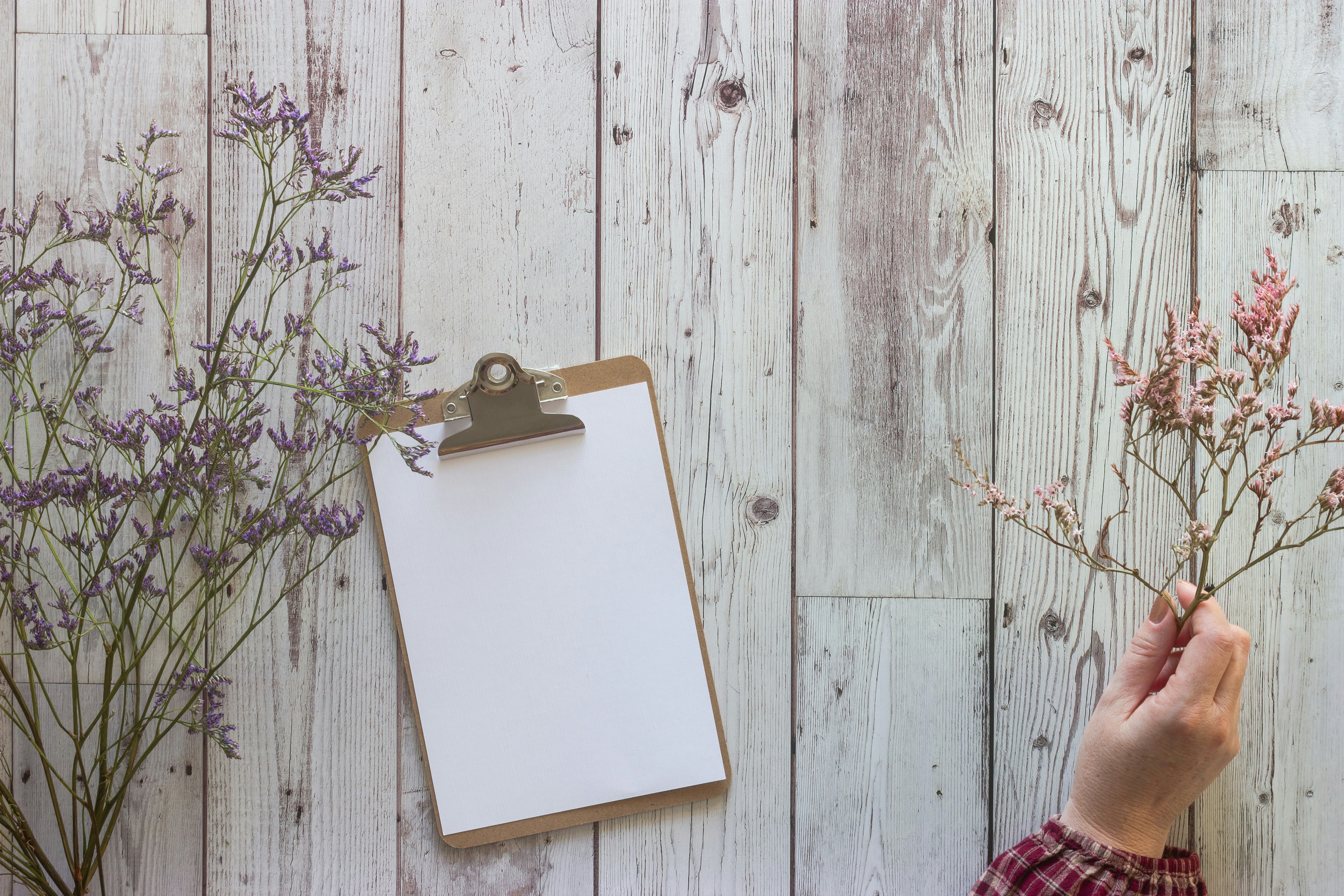 Notice Board Pictures | Download Free Images on Unsplash