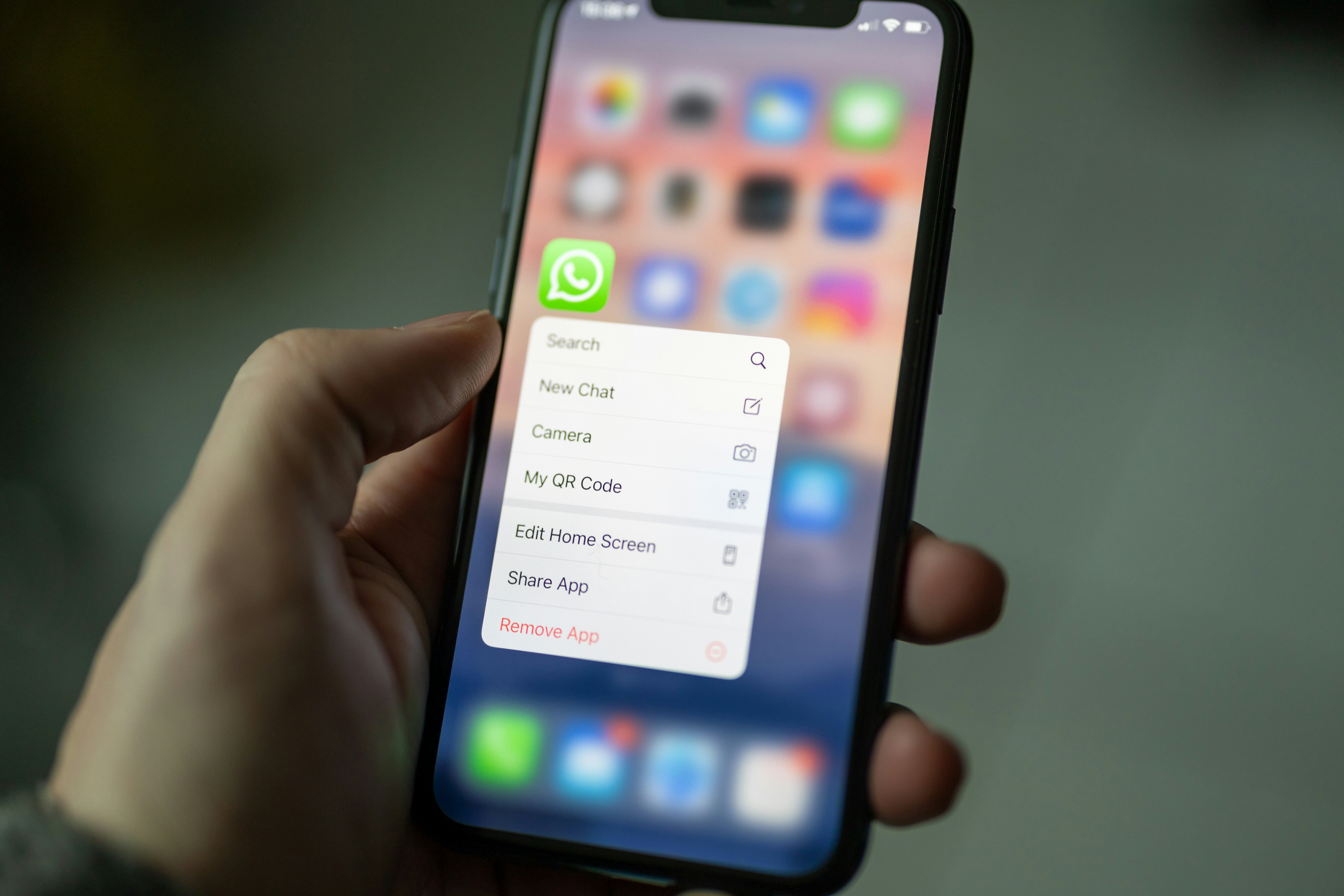 iPhone with the home screen
