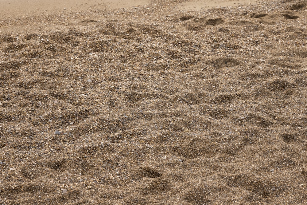 brown sand with brown sand